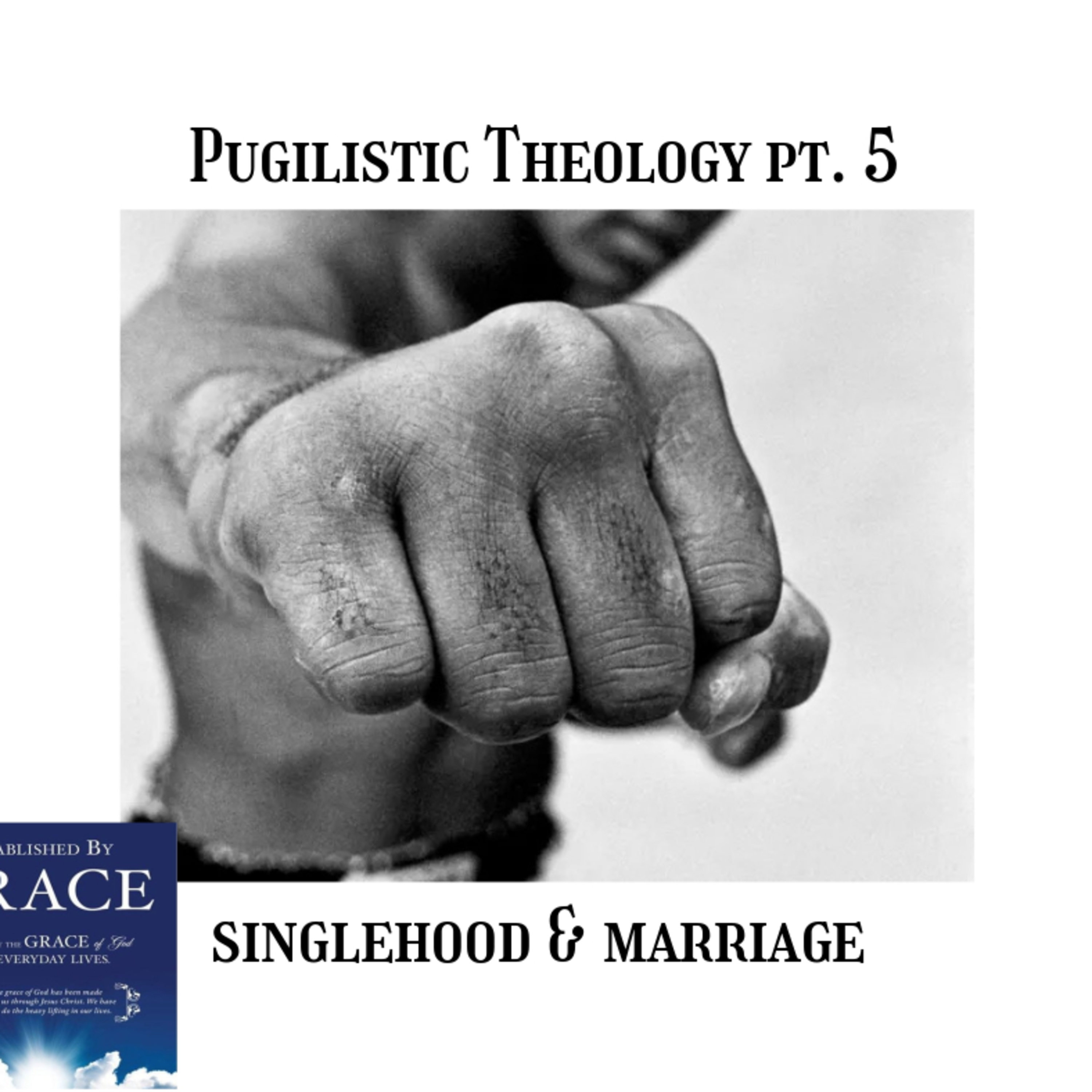 Episode 19: "Pugilistic Theology Pt. 5: Singlehood & Marriage"