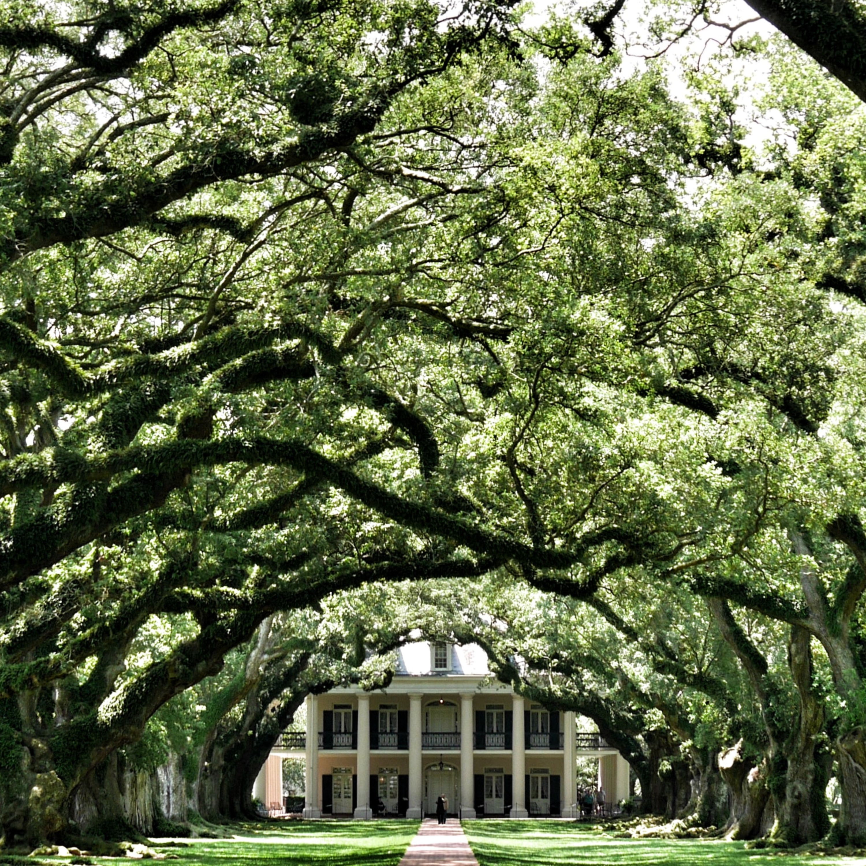 Ep.0.3: Gone with the Wind