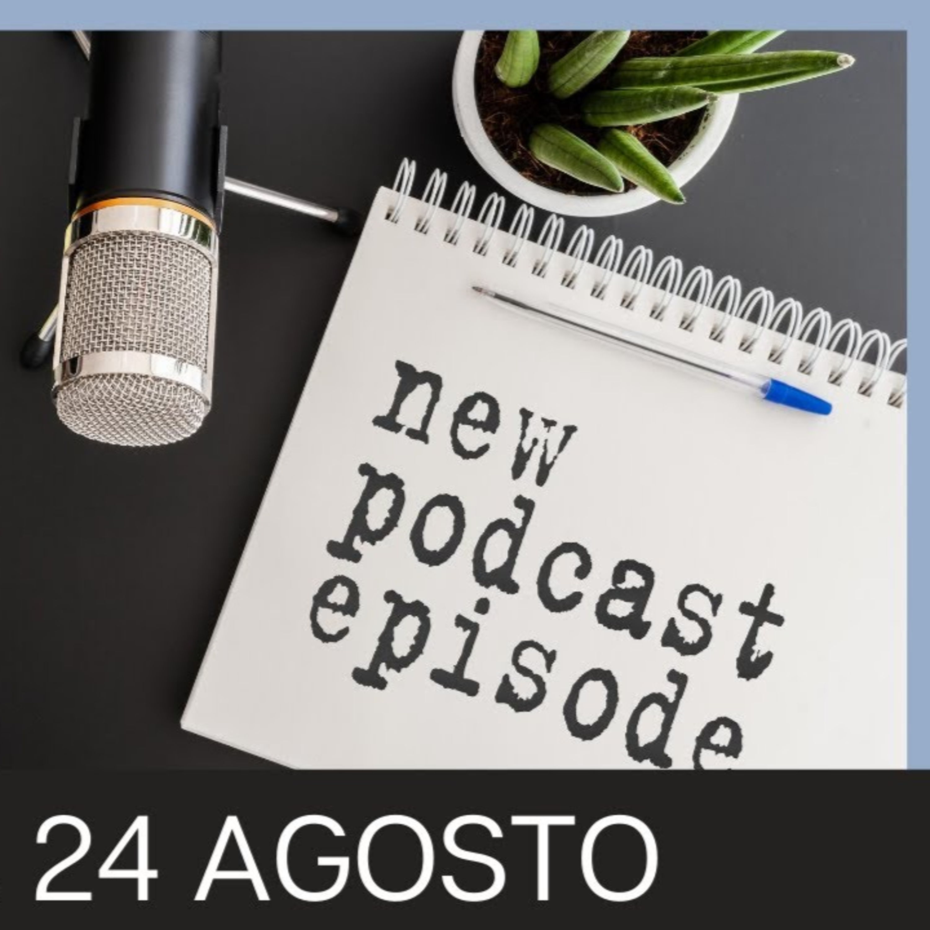 Patrimonio Sin Vergüenza