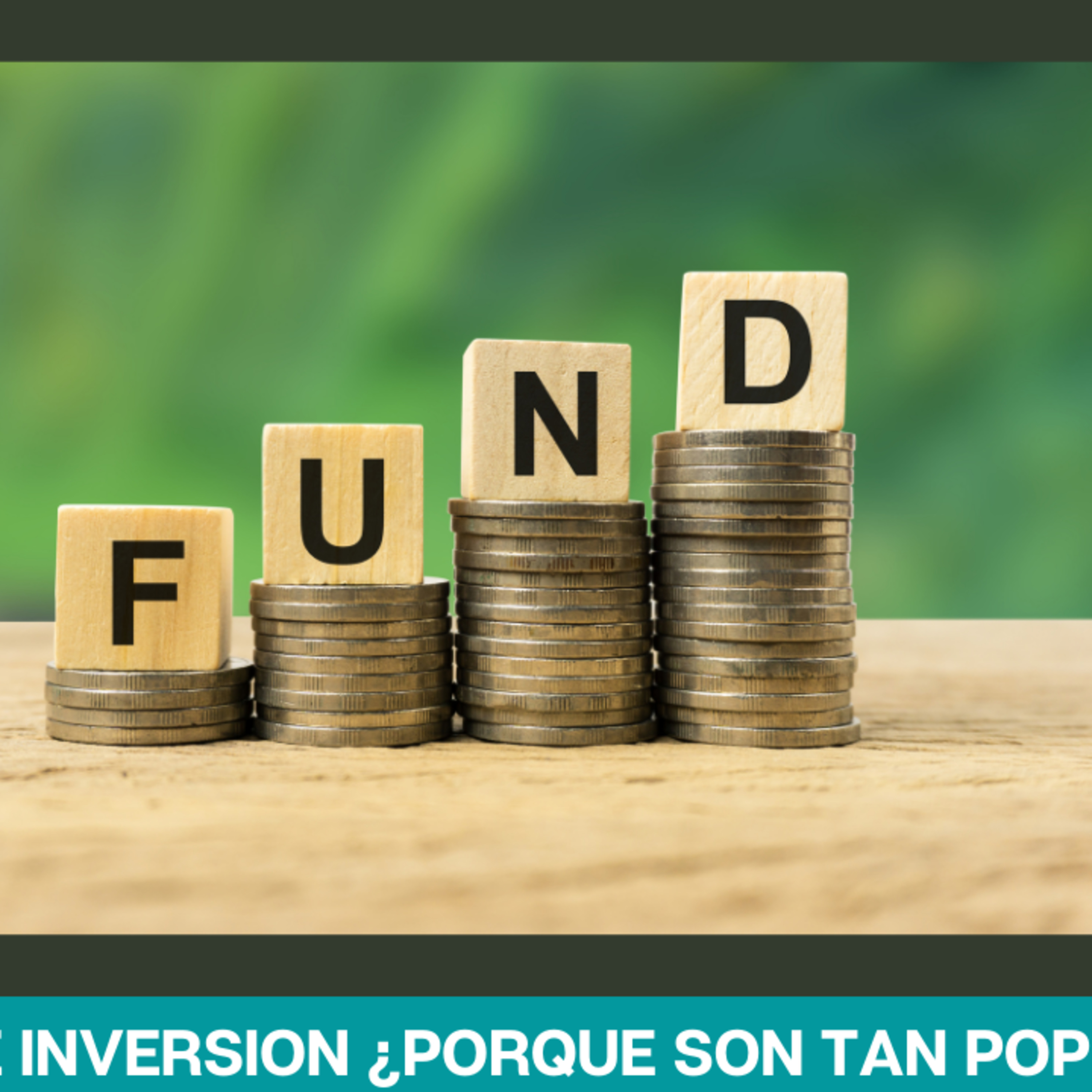 Patrimonio Sin Vergüenza