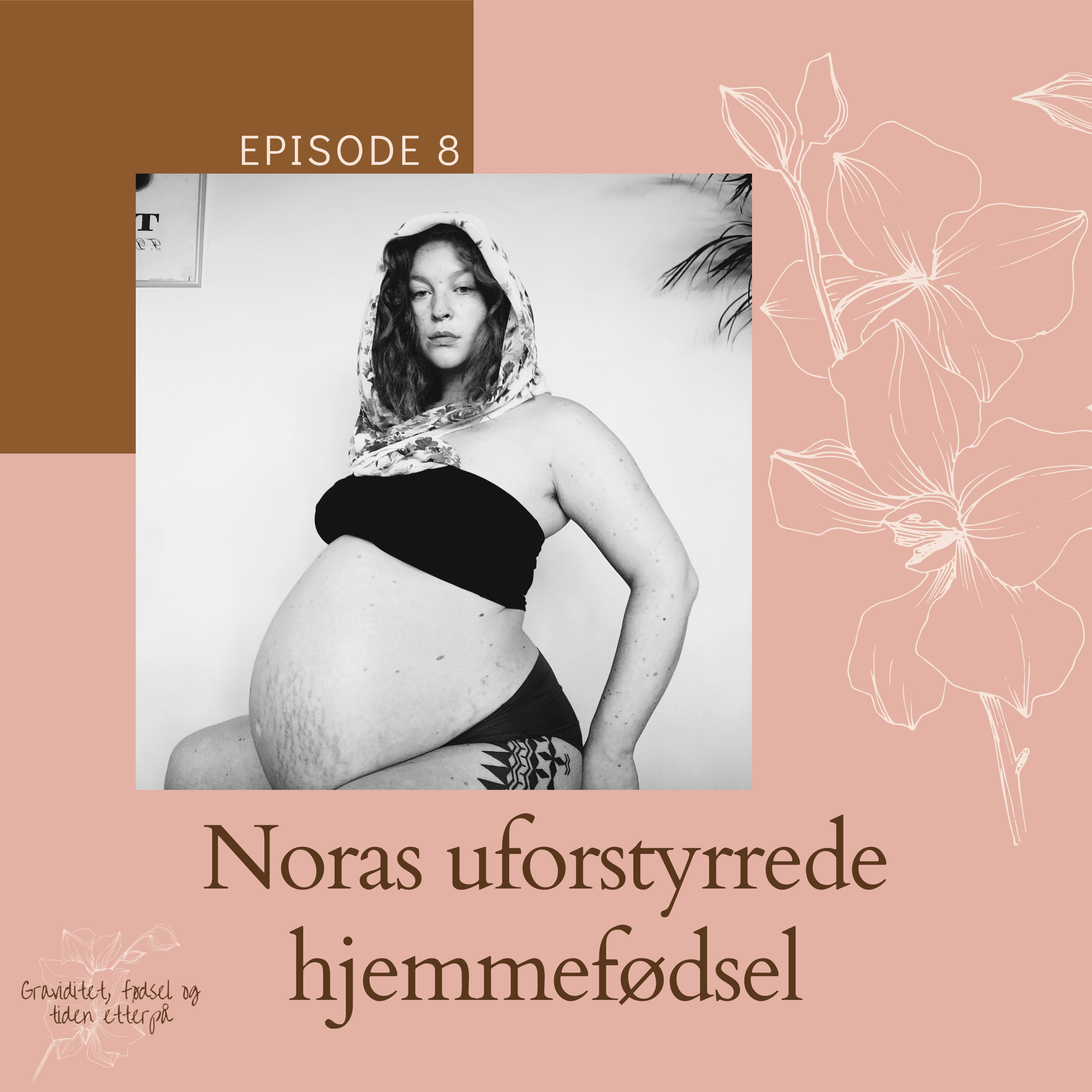Graviditet, fødsel og tiden etterpå