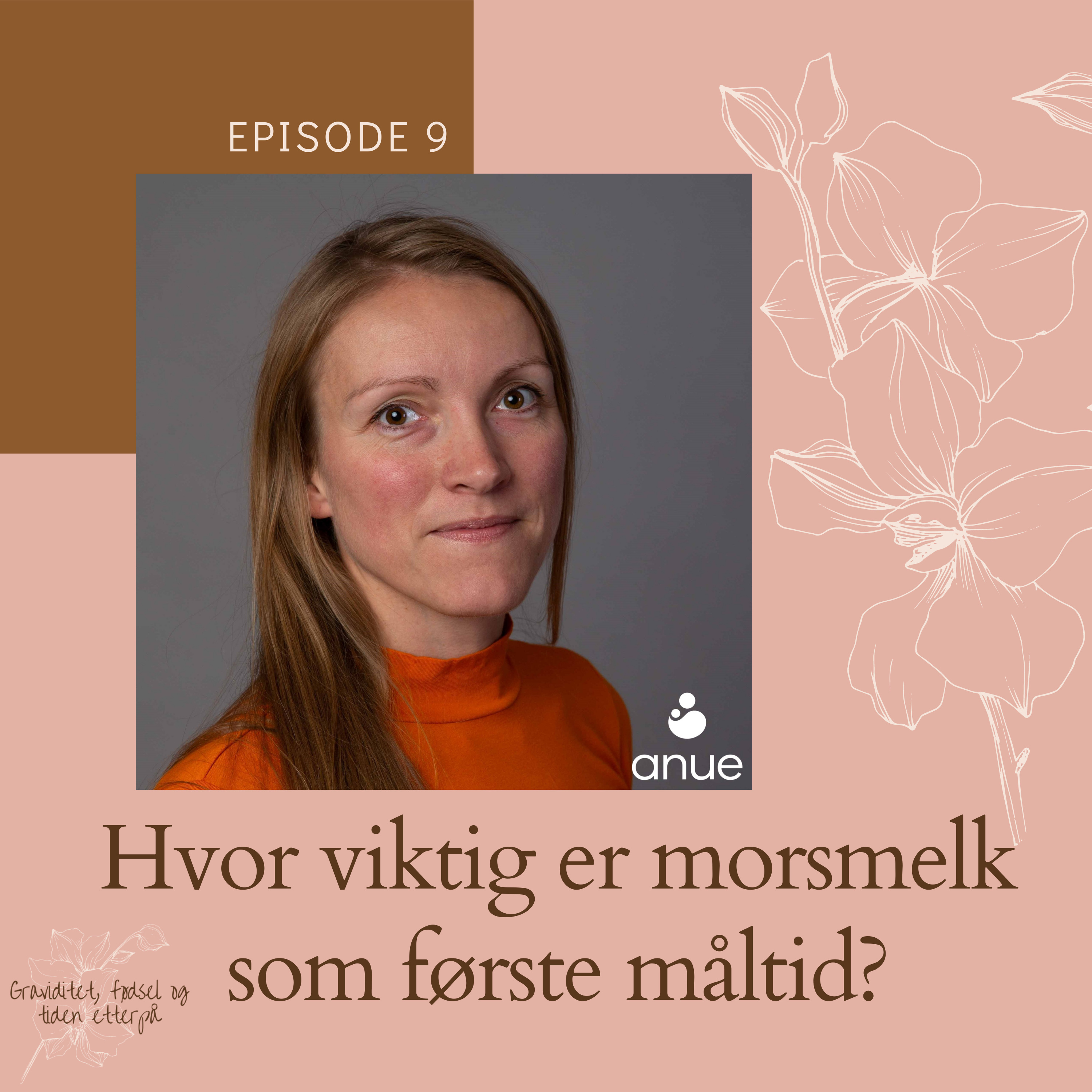 Graviditet, fødsel og tiden etterpå
