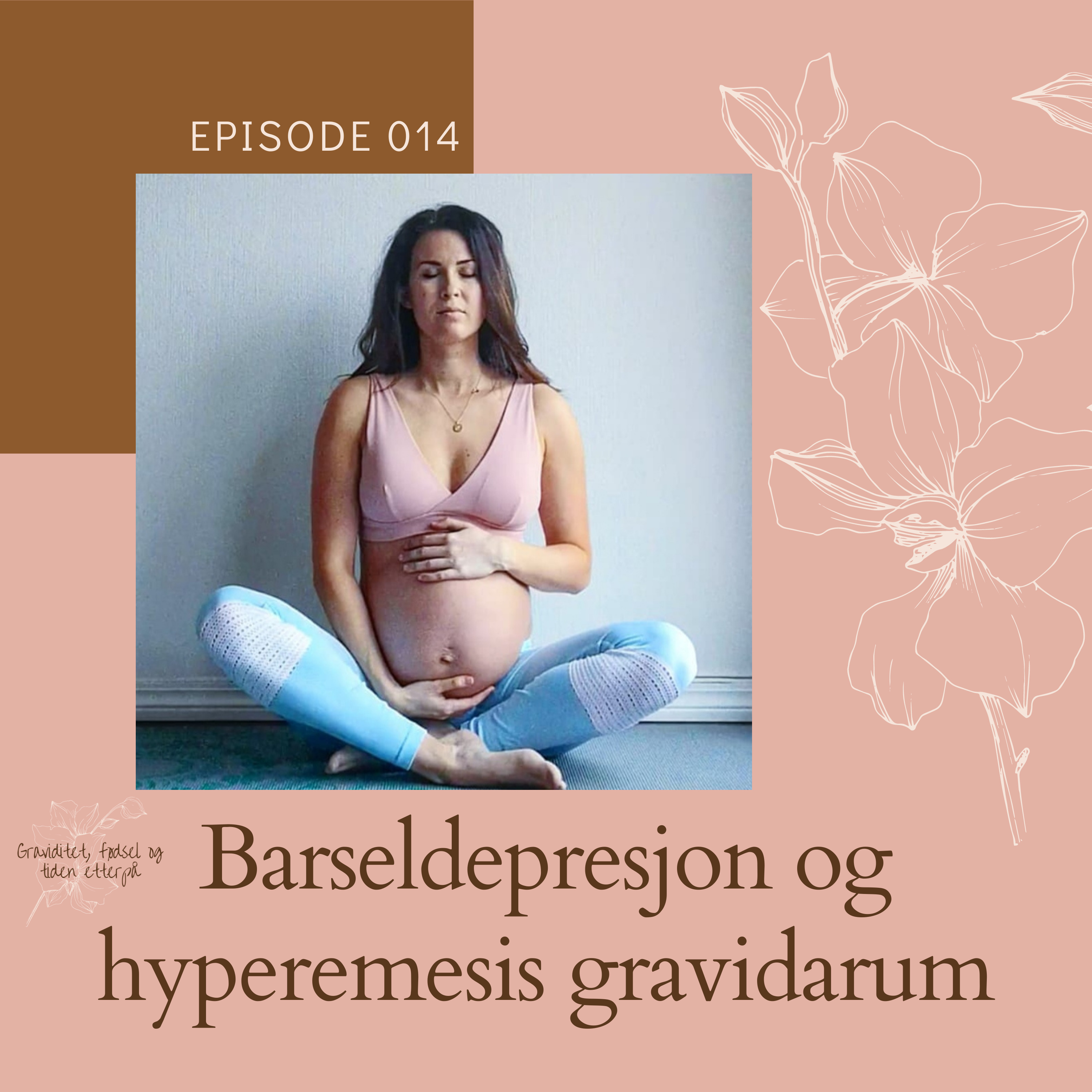 Graviditet, fødsel og tiden etterpå