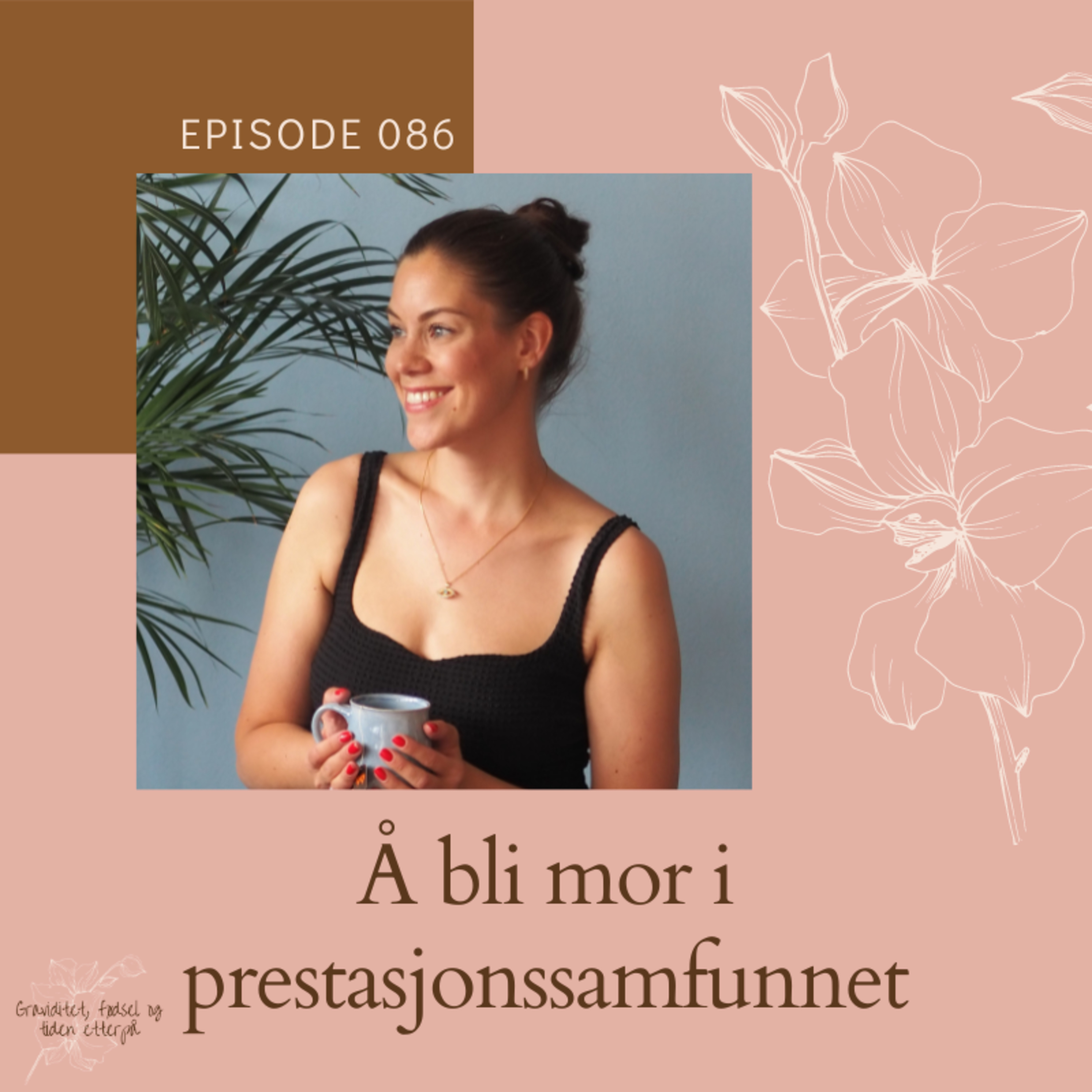 Graviditet, fødsel og tiden etterpå