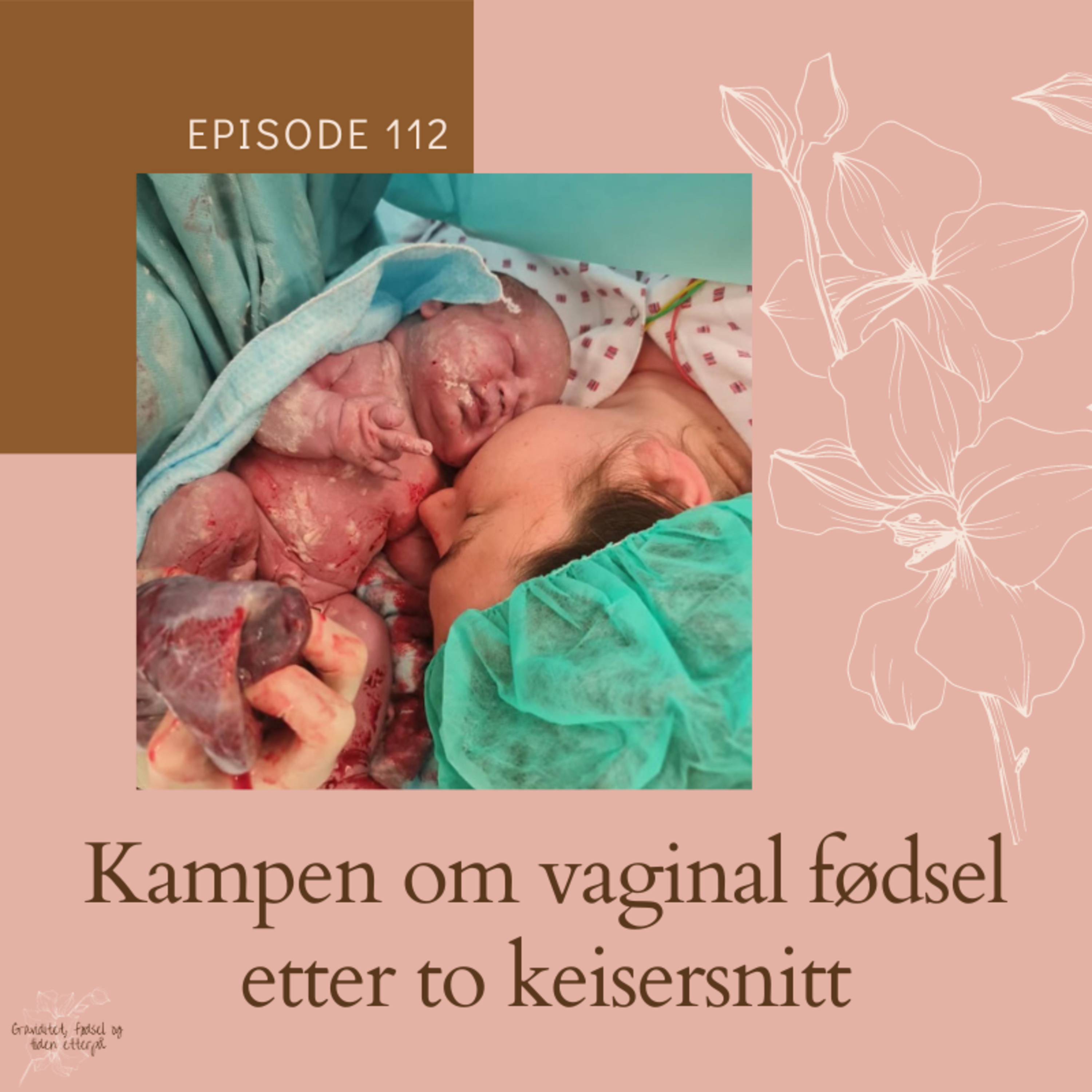 Graviditet, fødsel og tiden etterpå