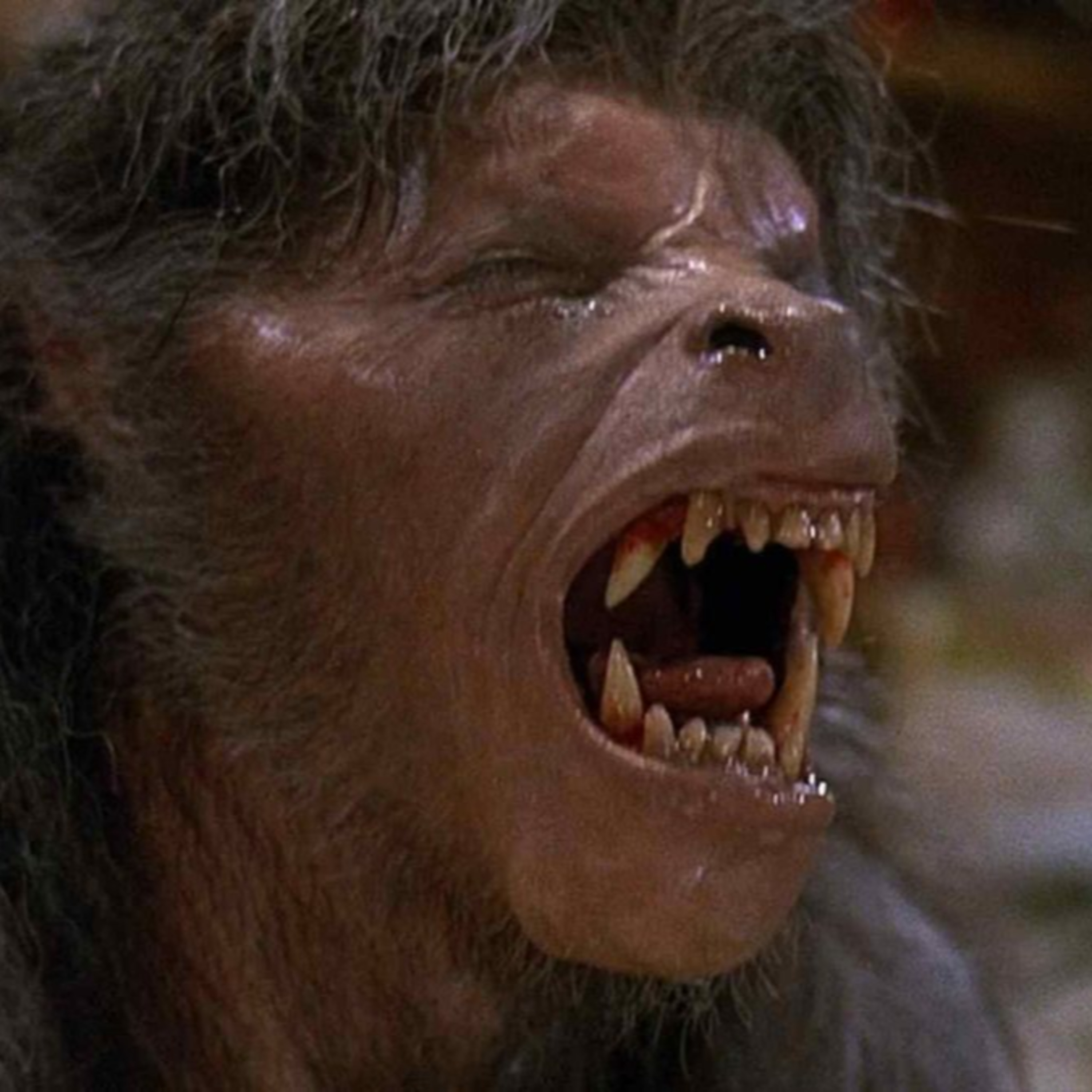 Shudder Show