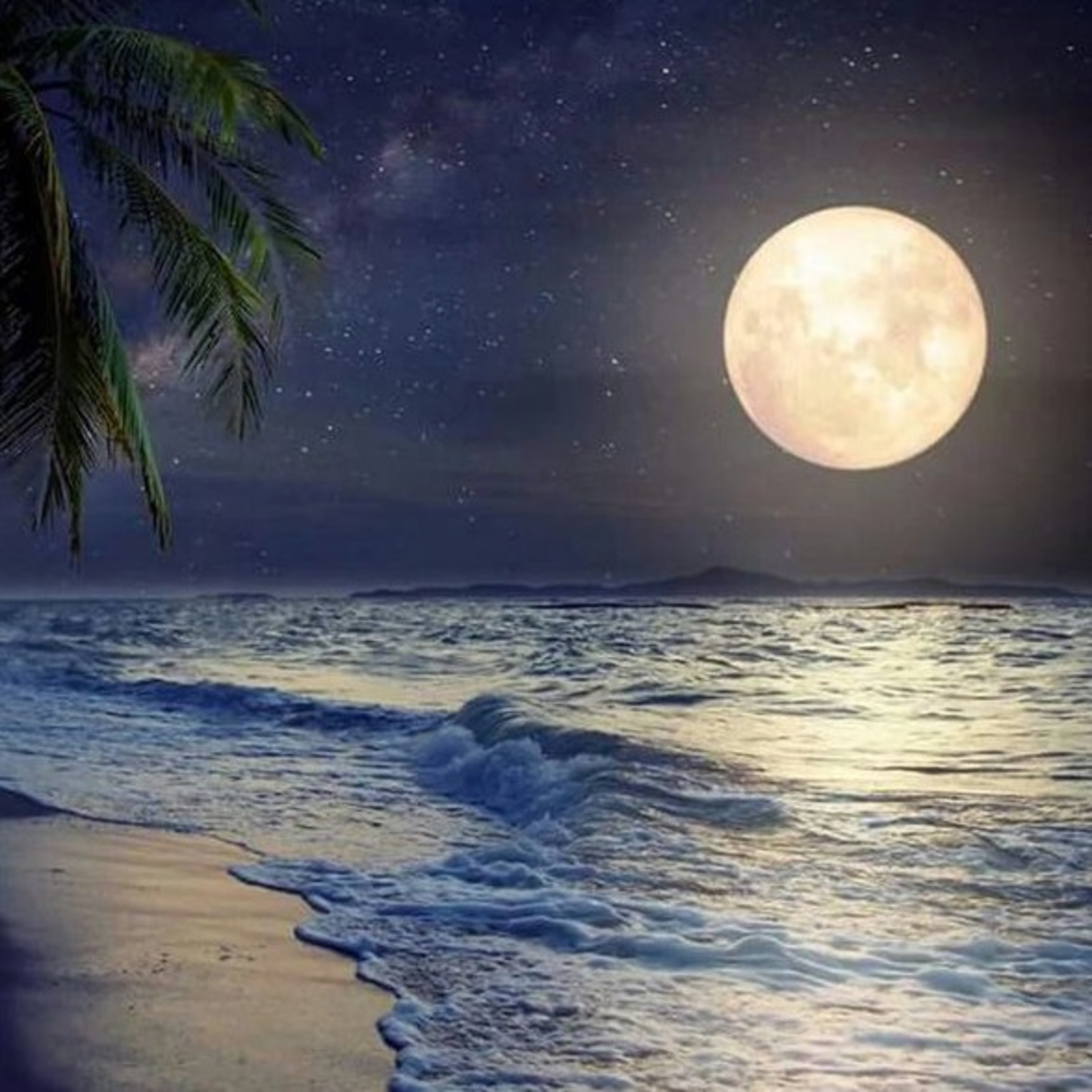 Lunar Interpretations...  episode artwork