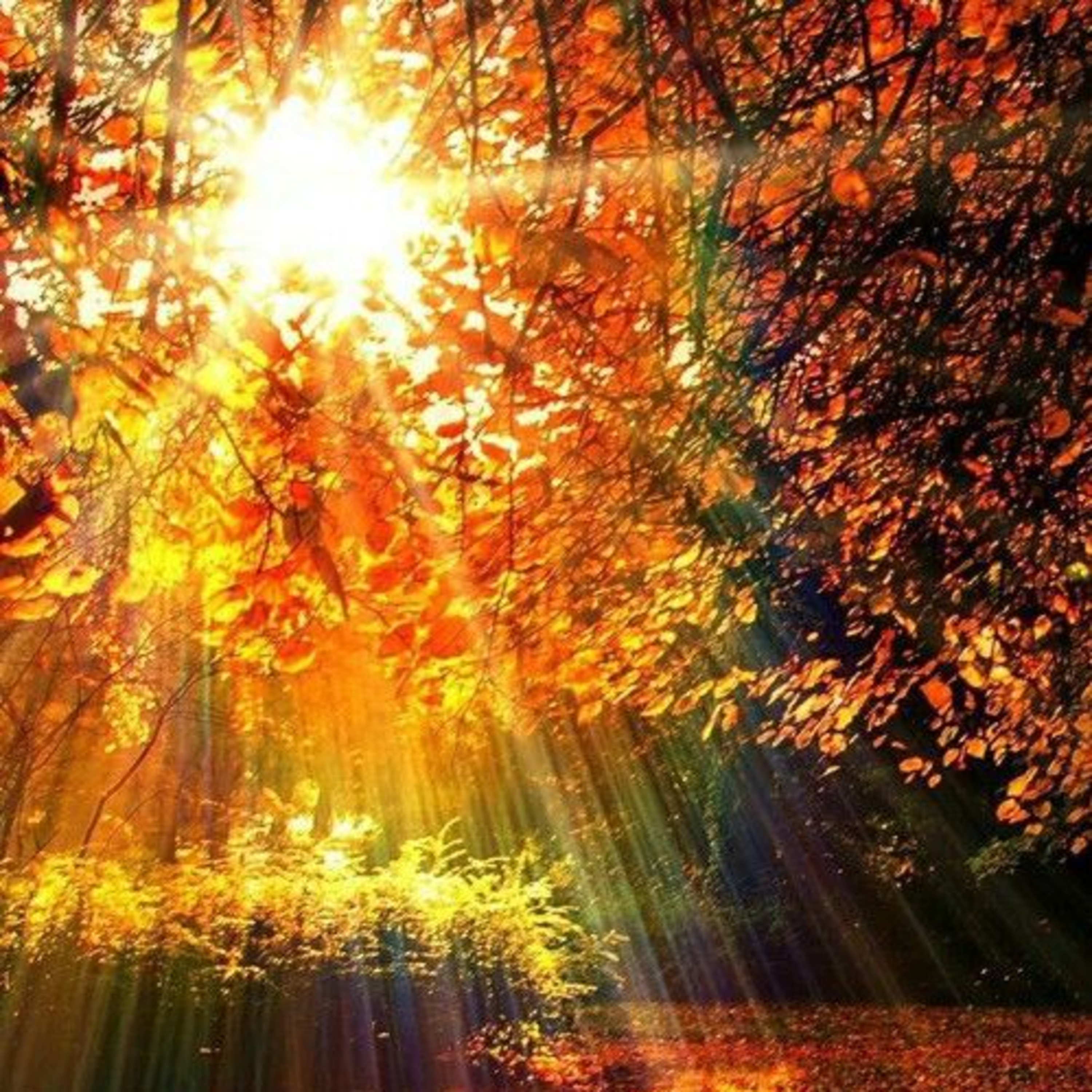 Alone Like the Sun on this Mid September Morn...  episode artwork