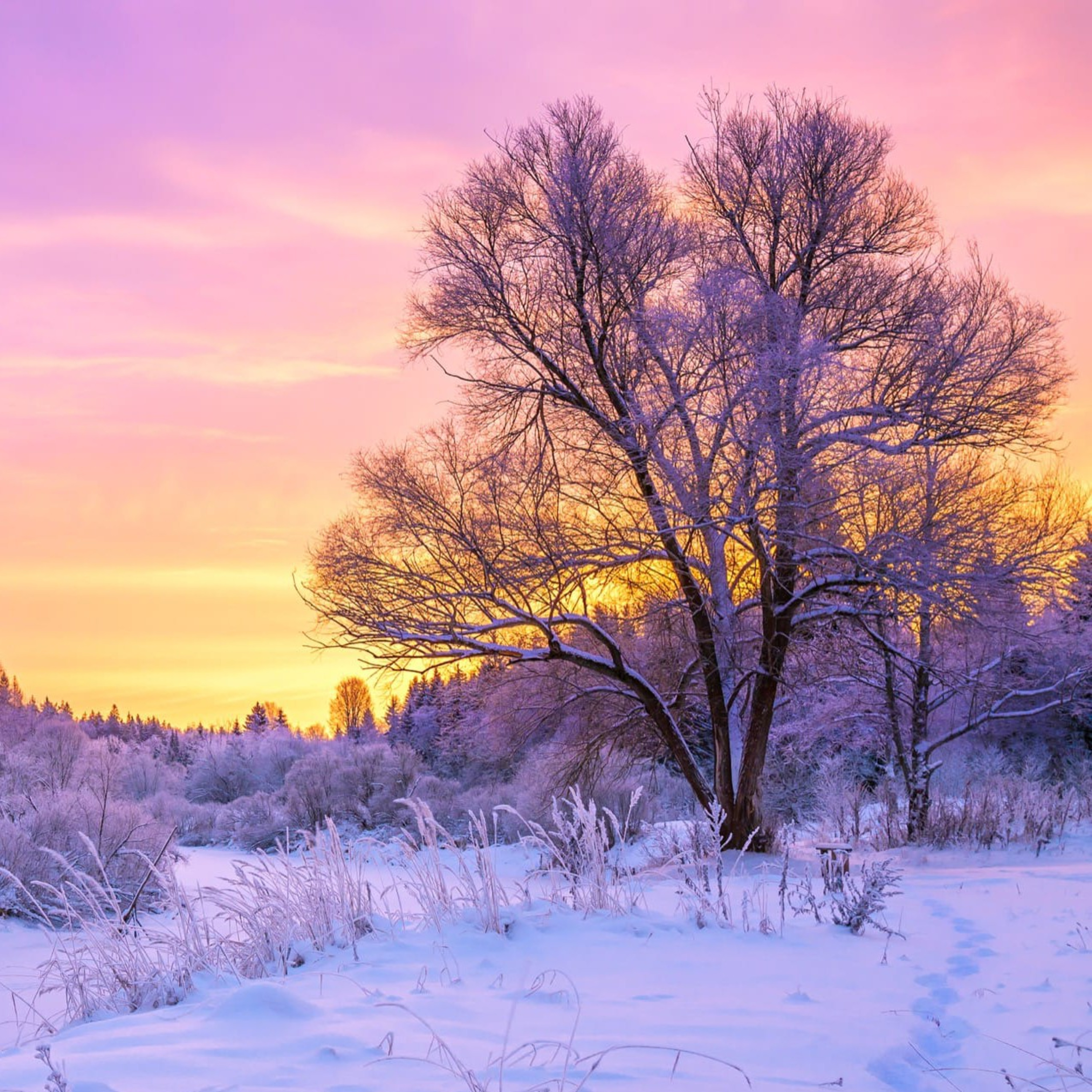 Winter Sighs Snowflakes...  episode artwork