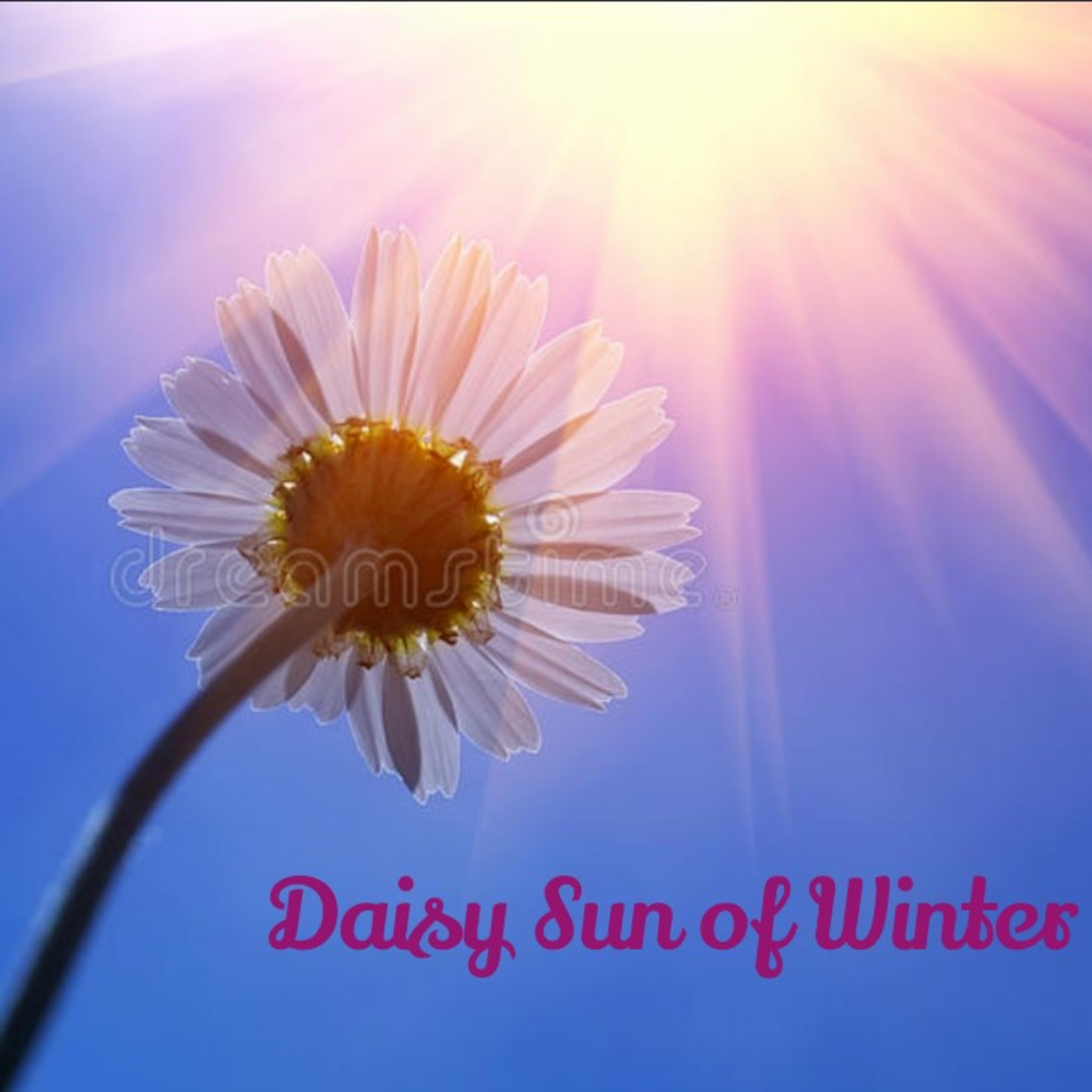 Daisy Sun of Winter episode artwork