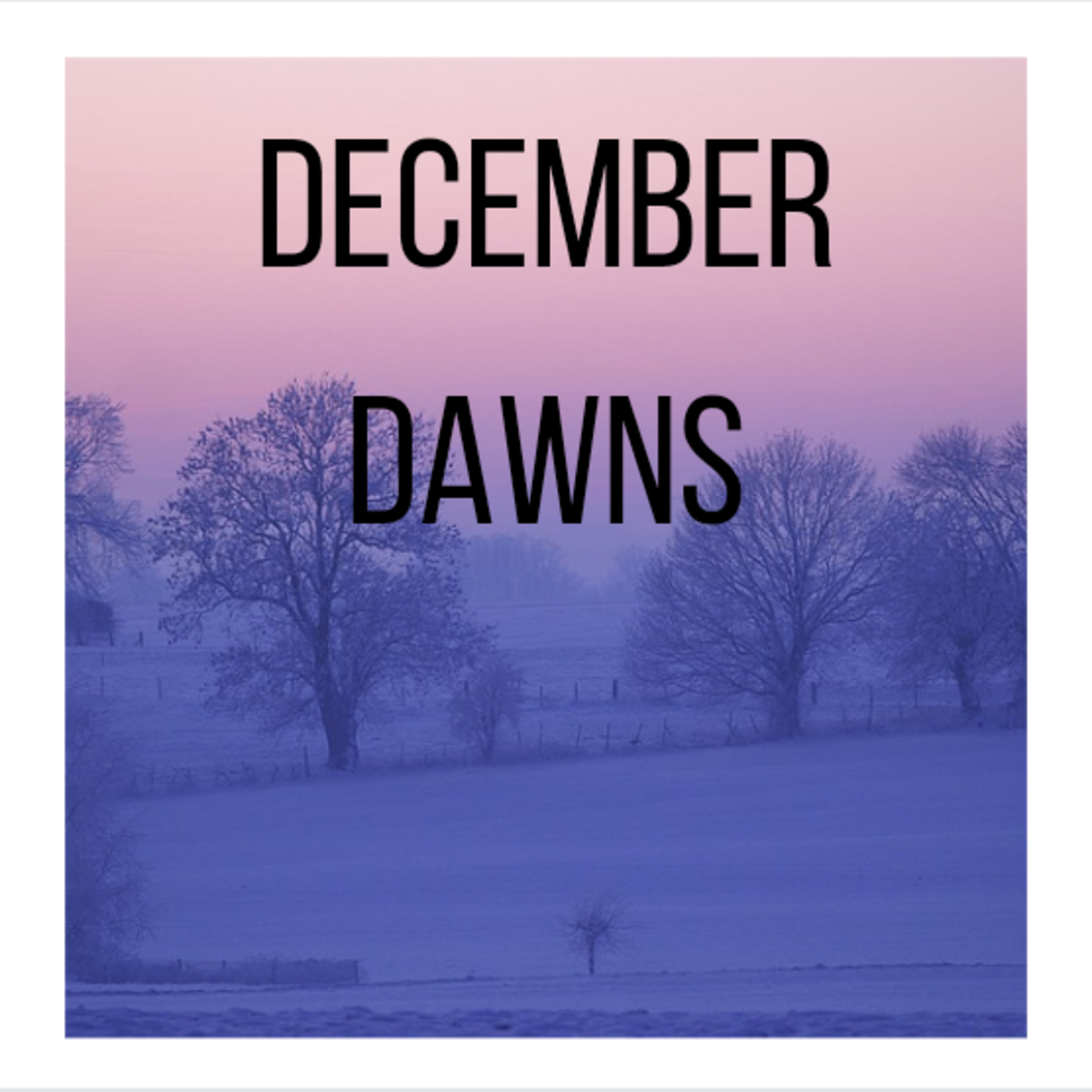 December Dawns... episode artwork