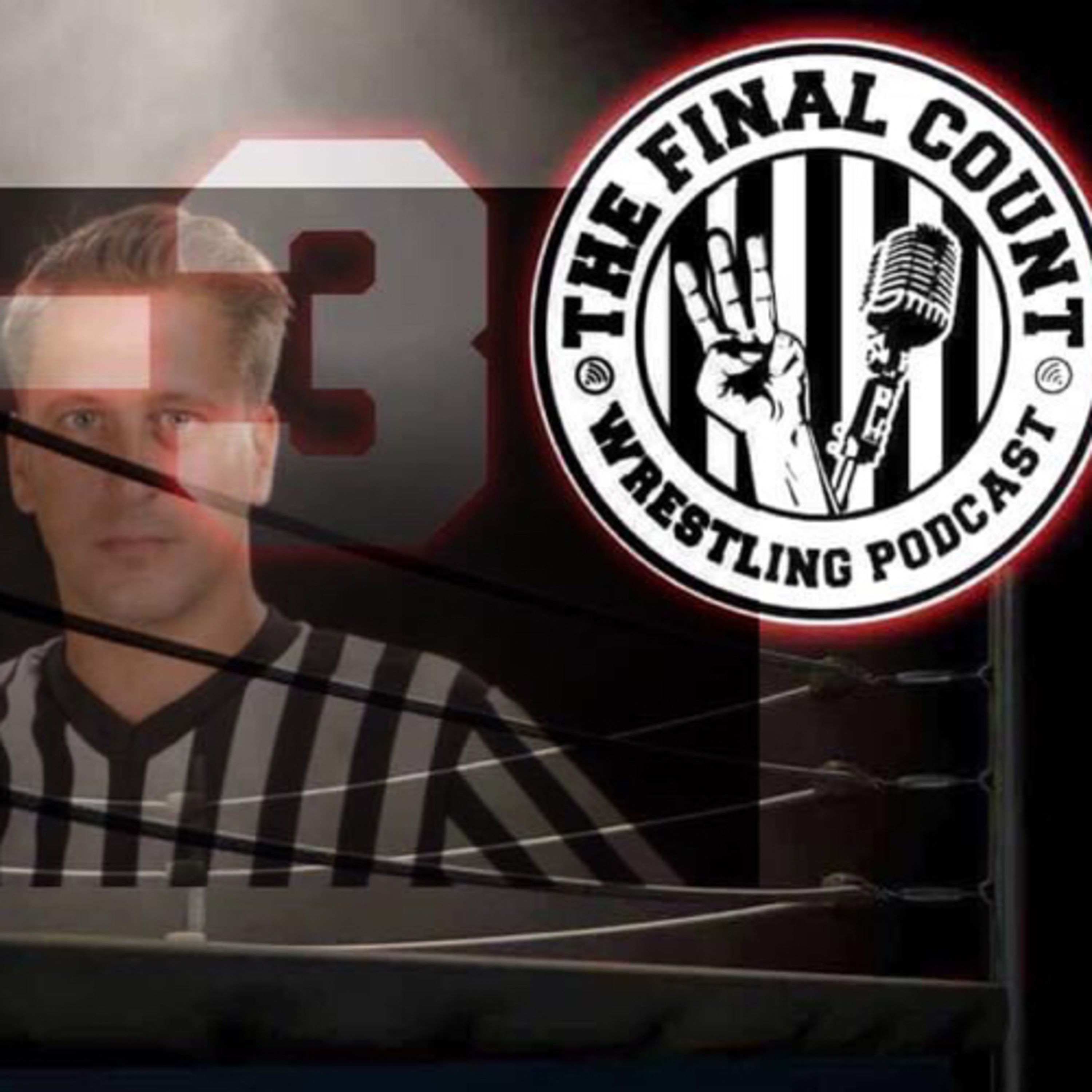 The Final Count- Goose Mahoney episode artwork