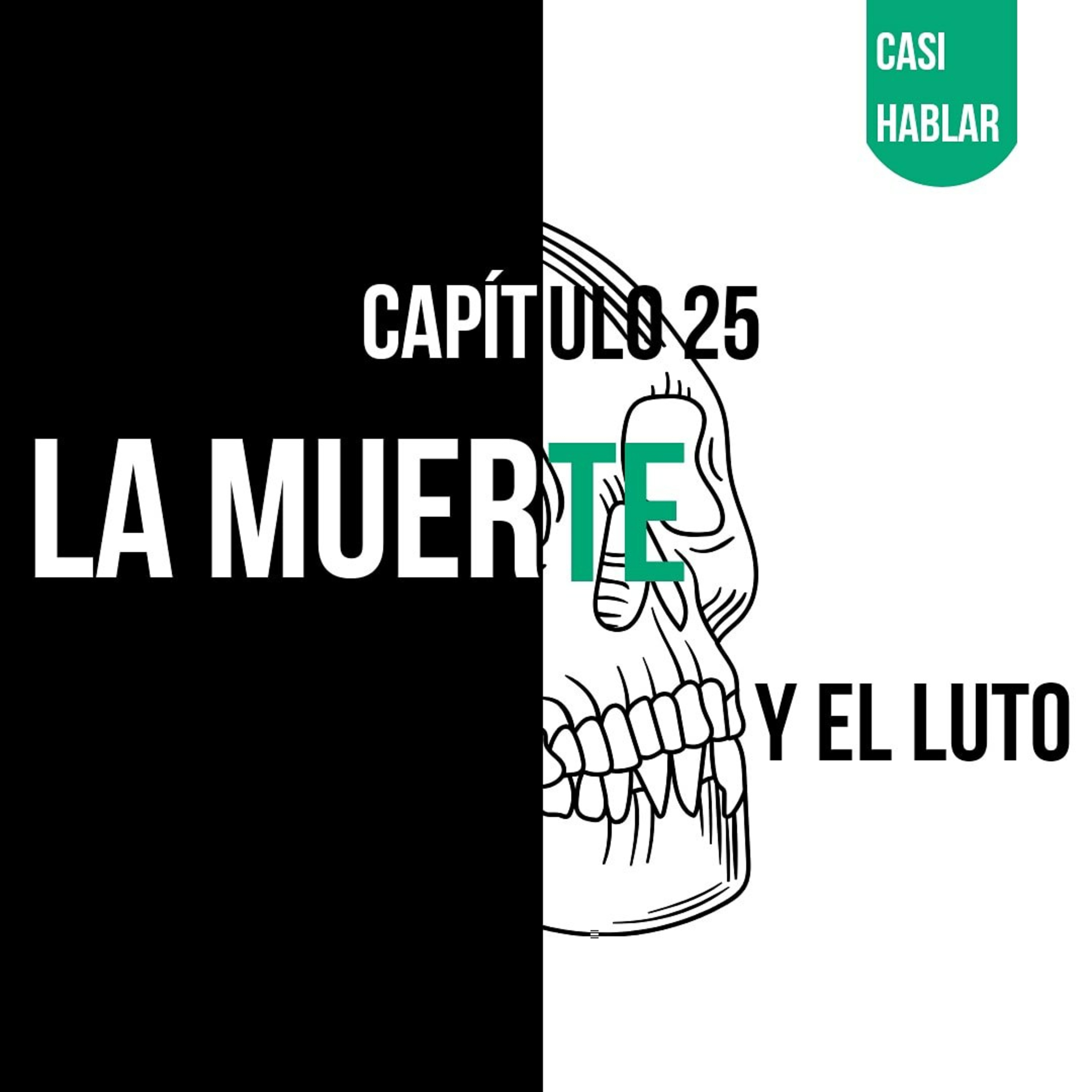 Casi Hablar