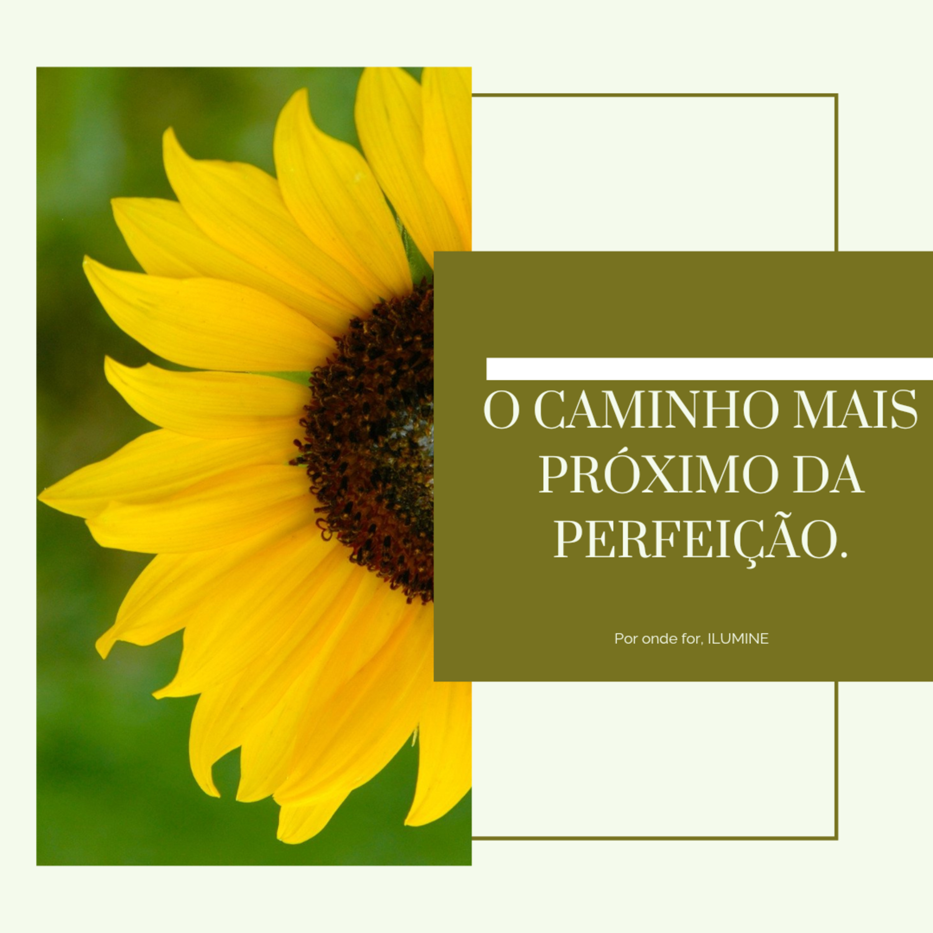 Por onde for ILUMINE