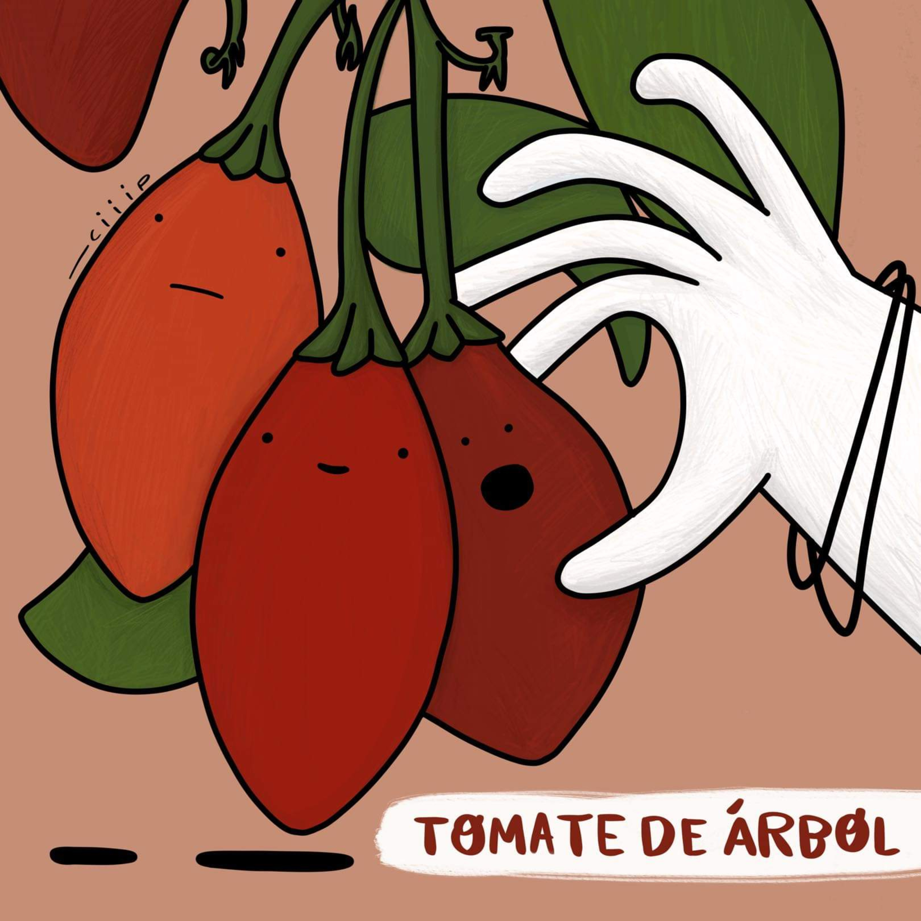 No hay huerta atrás