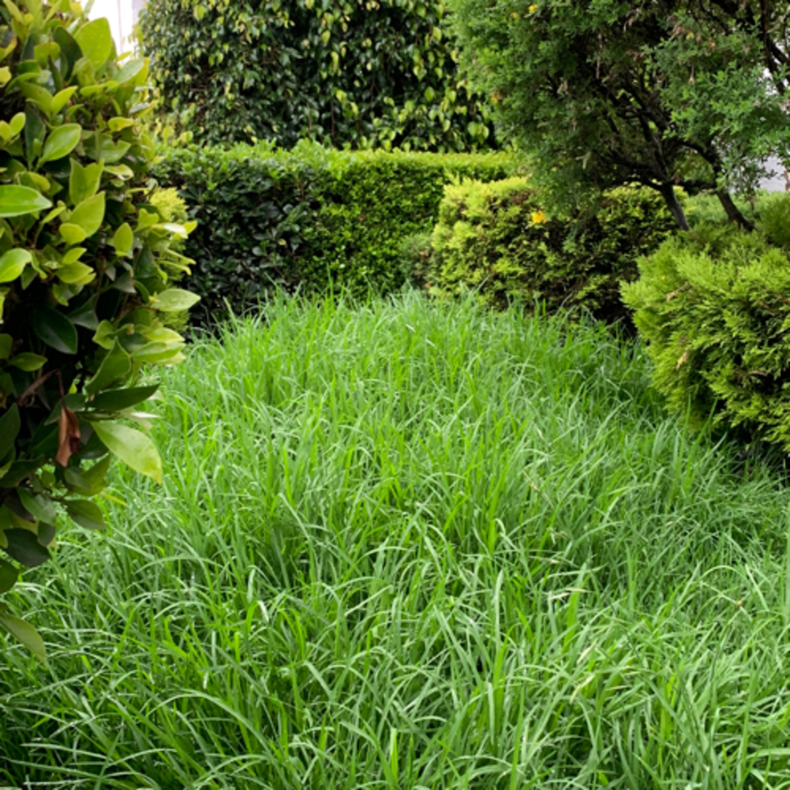 Mi experiencia con la ansiedad social