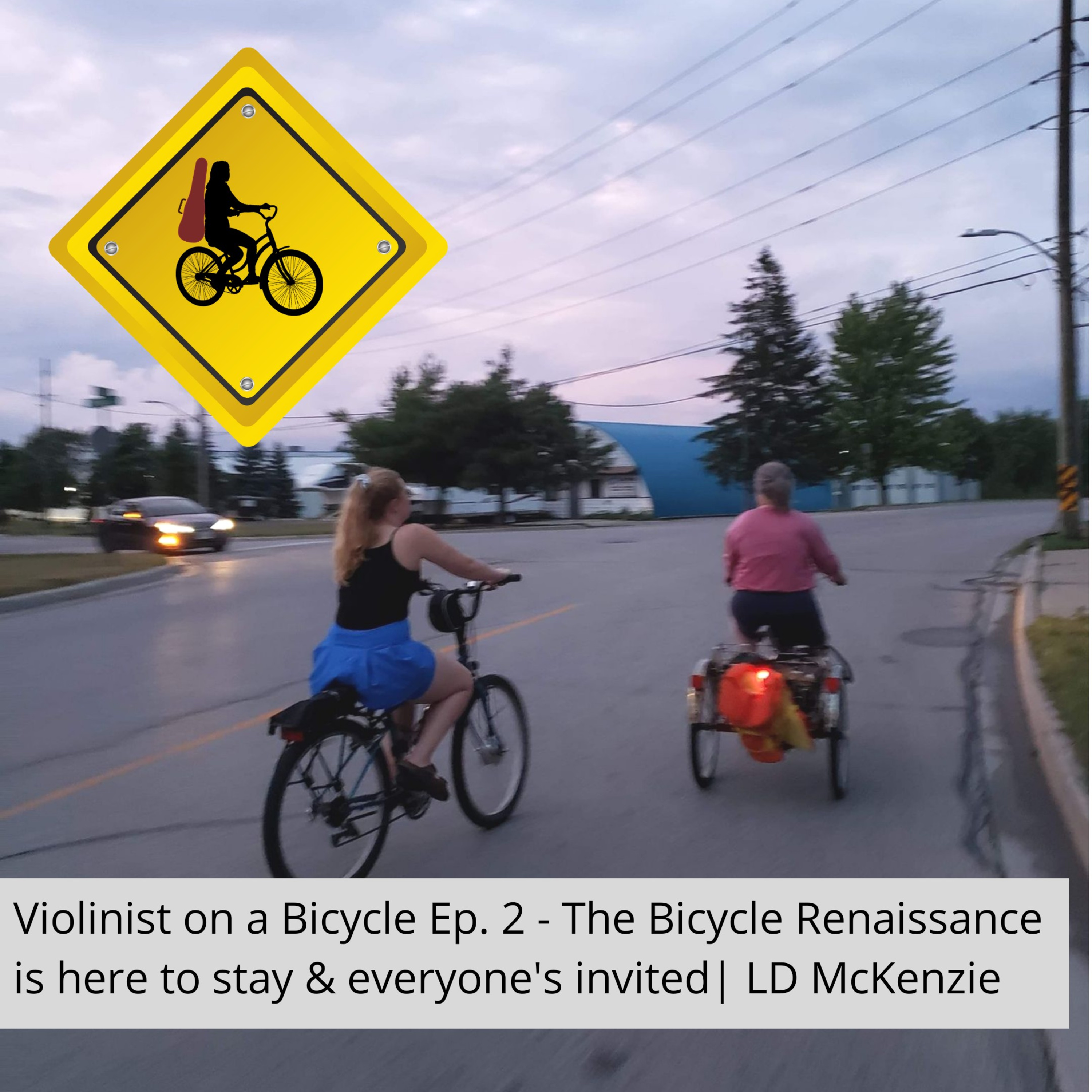 Violinist on a Bicycle