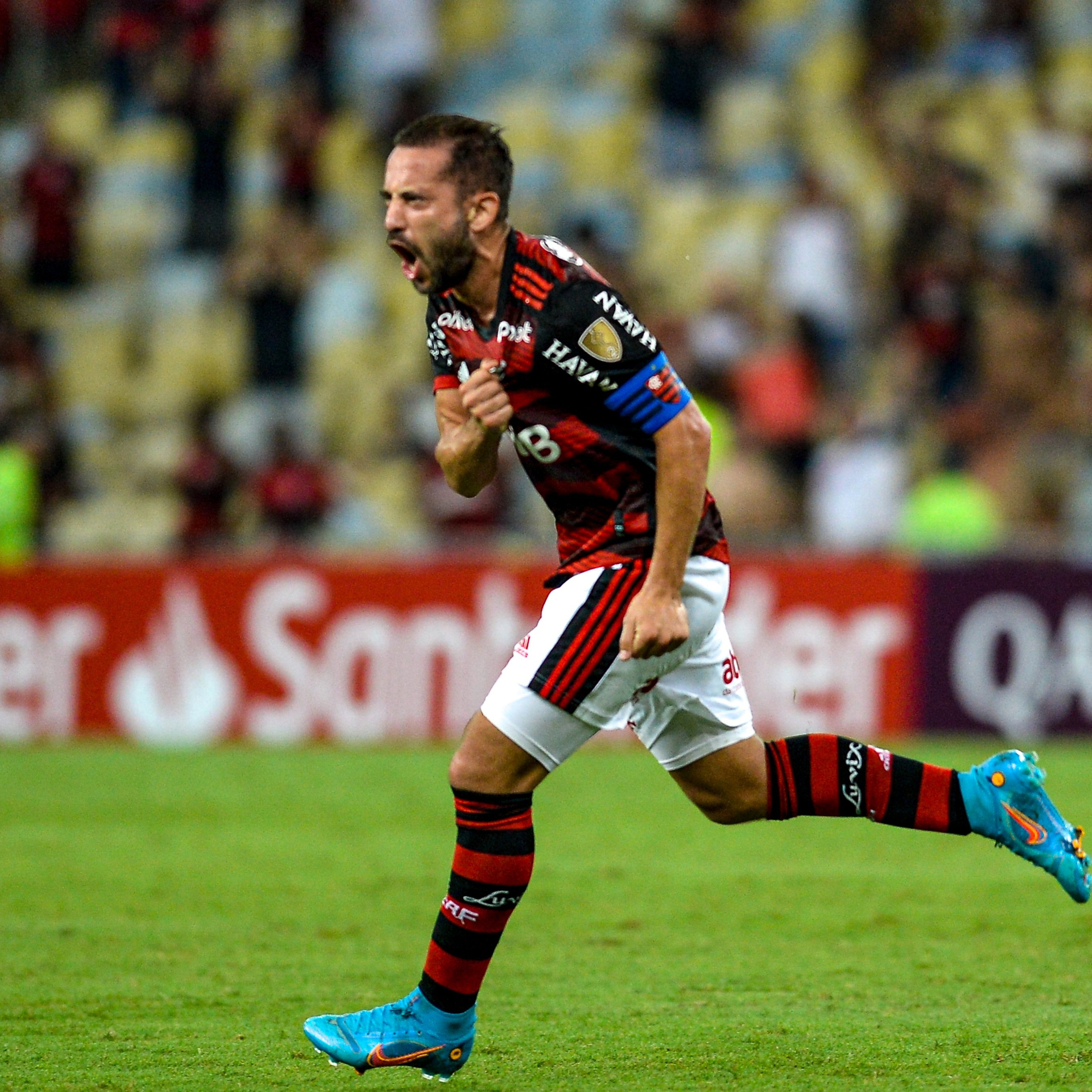 Mengão em Foco
