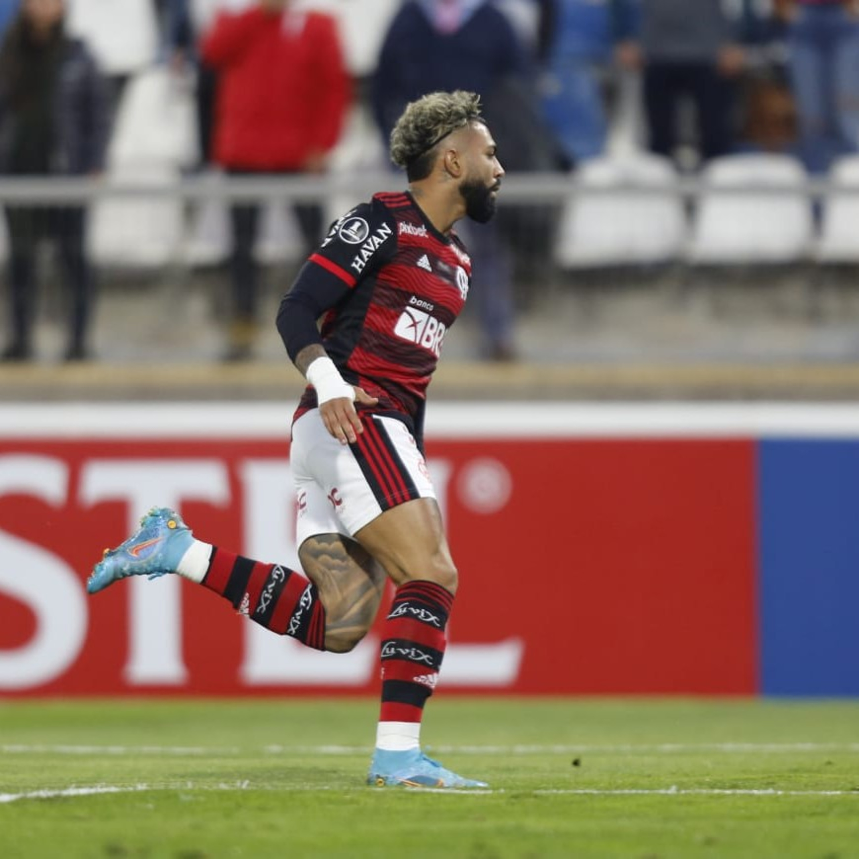 Mengão em Foco