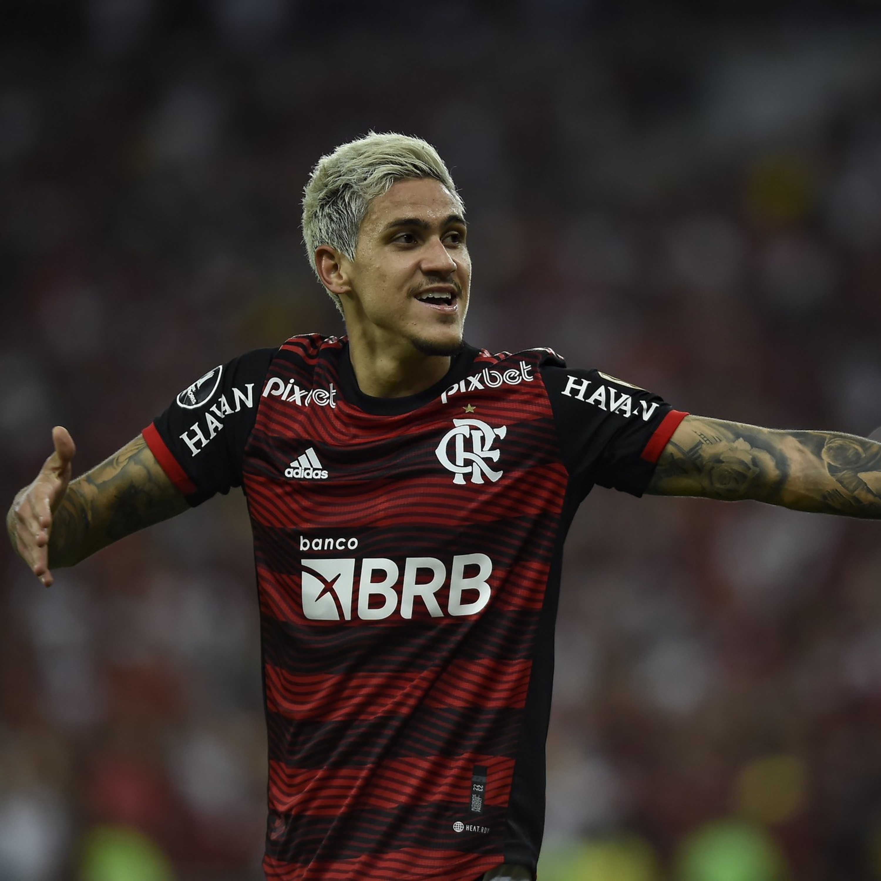Mengão em Foco