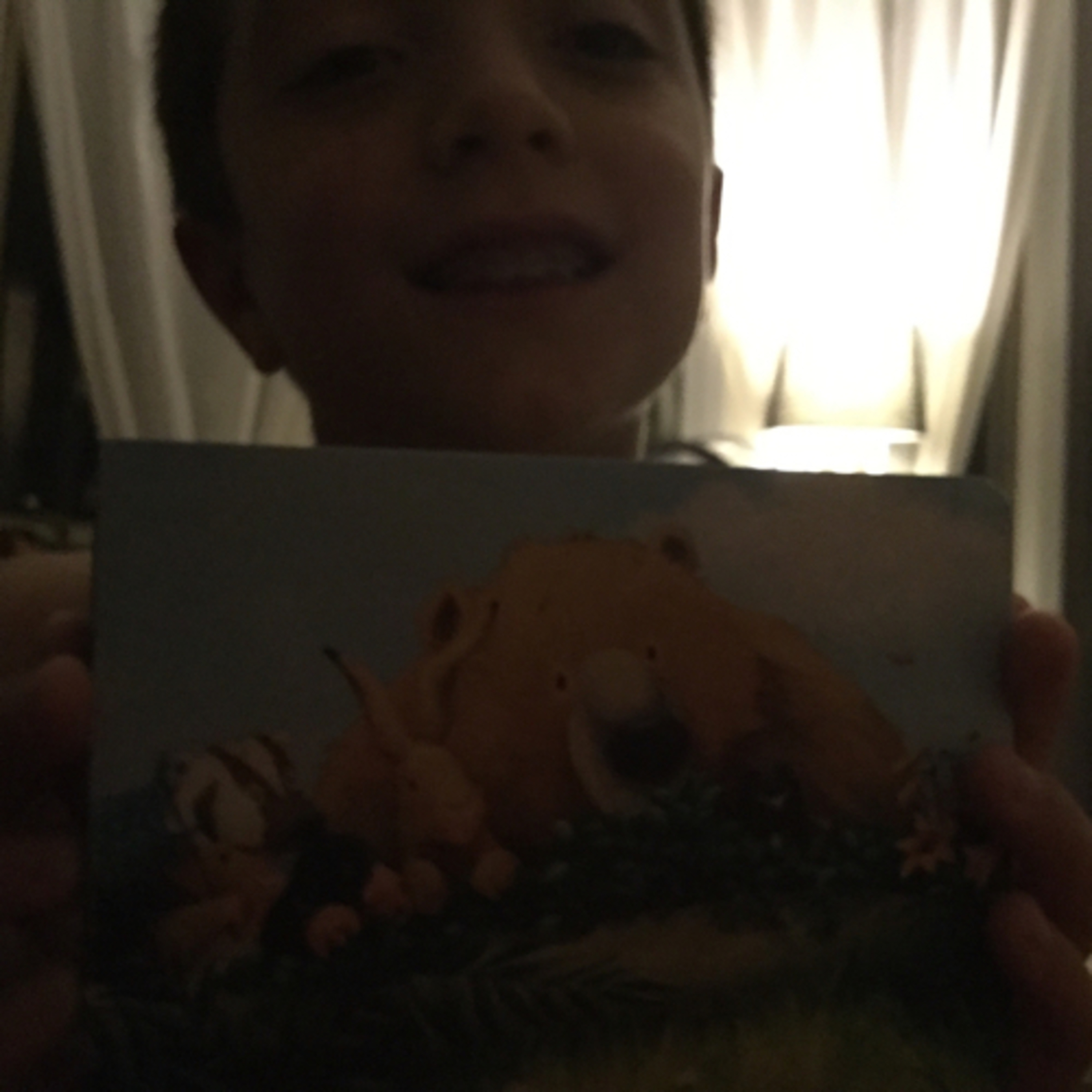 Reading with You Dudes