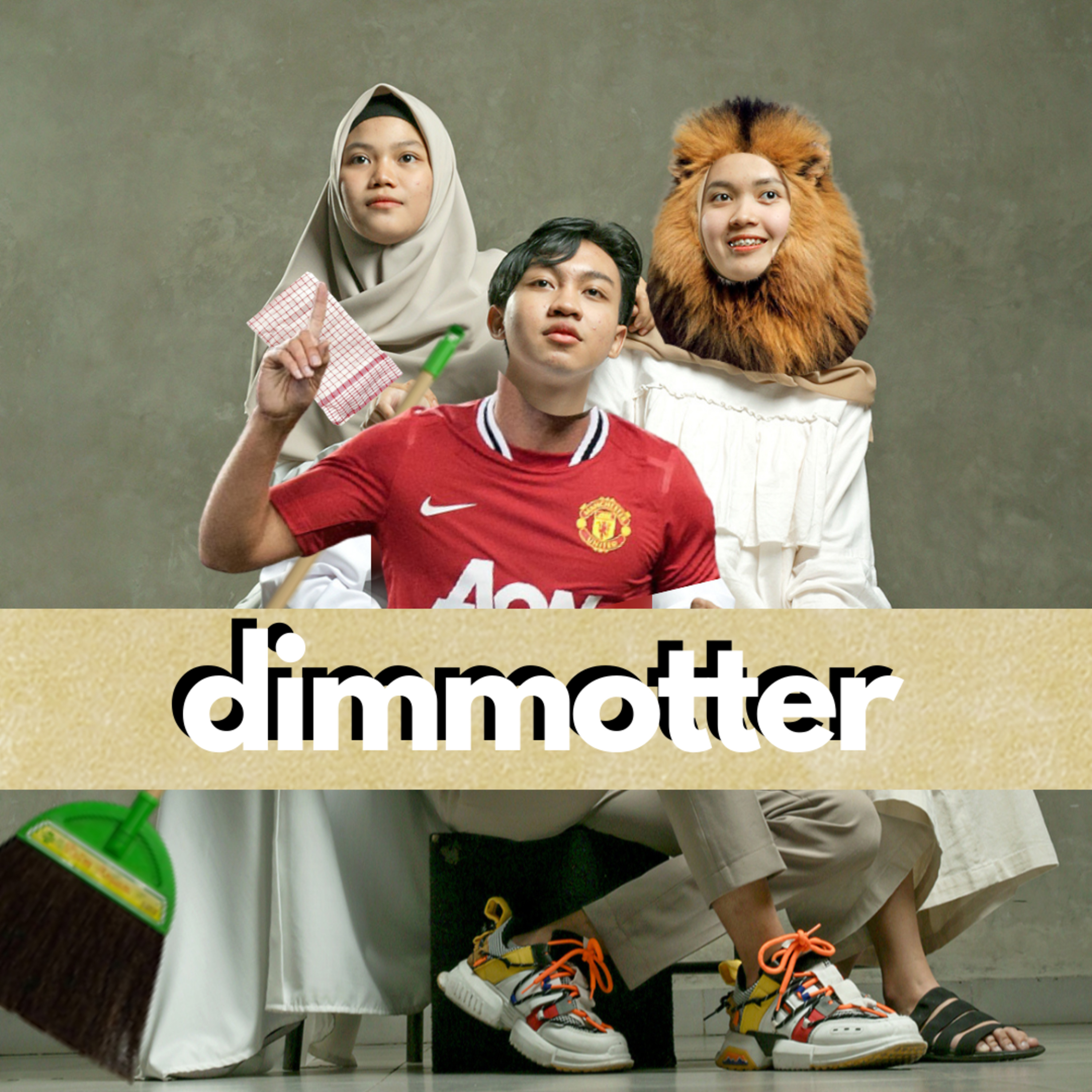 DIMMOTTER