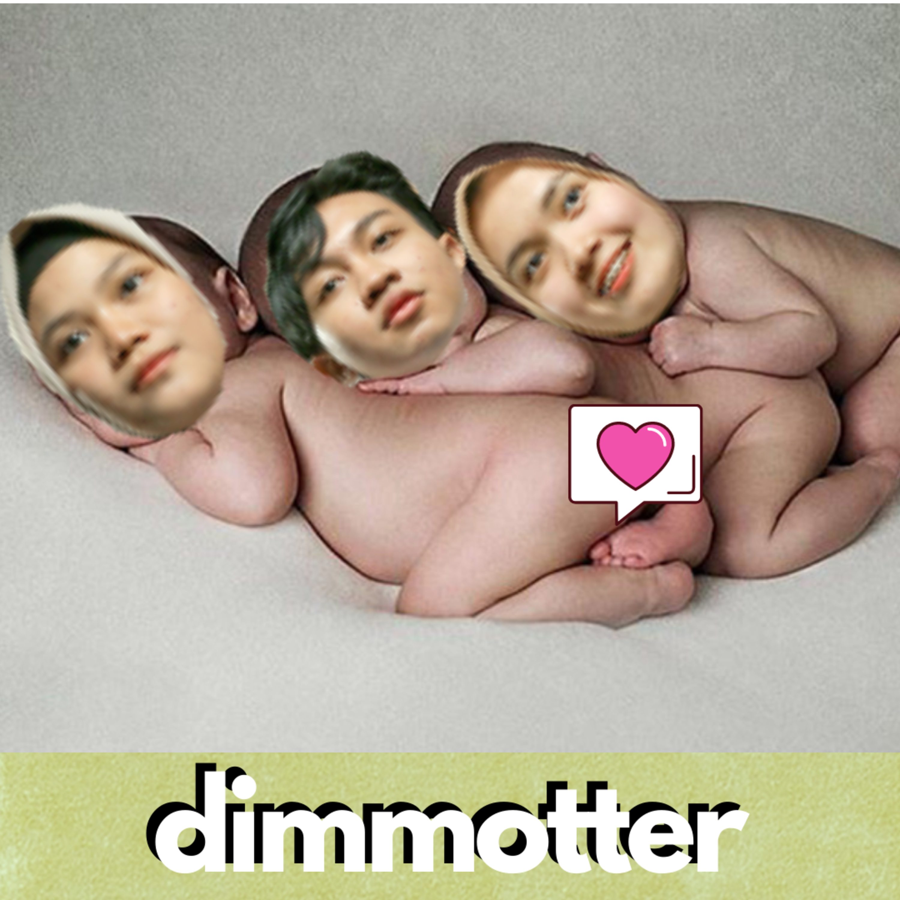 DIMMOTTER