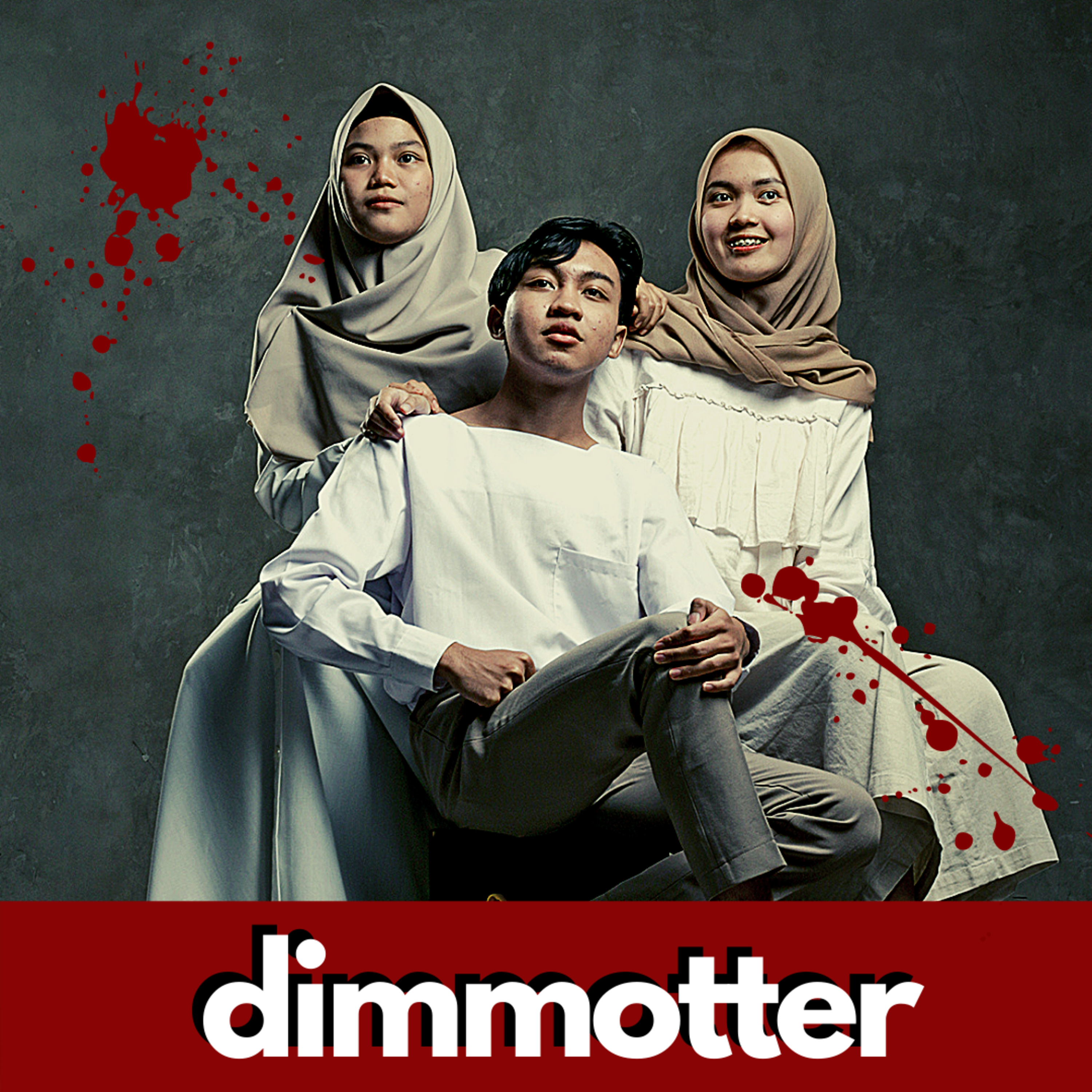 DIMMOTTER
