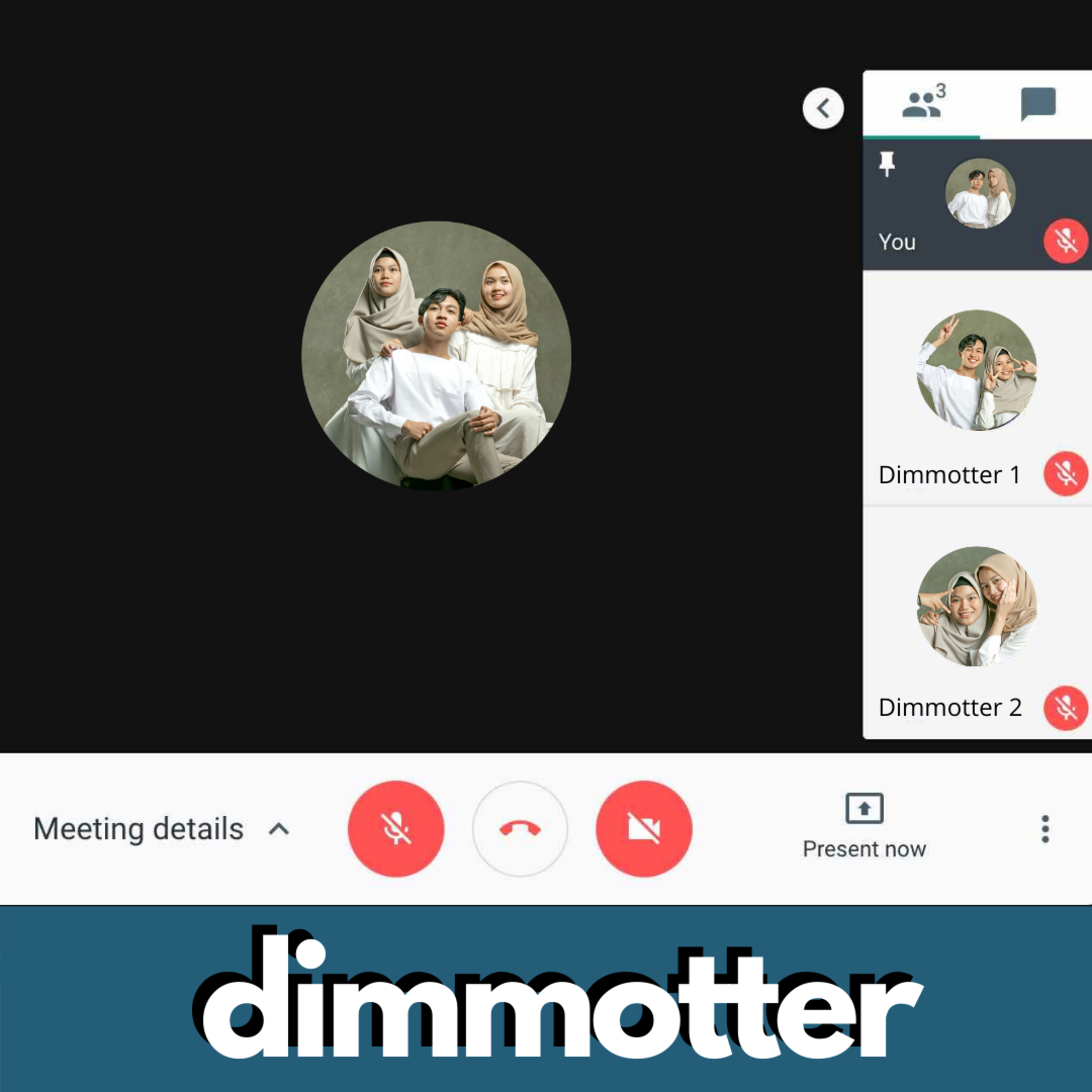 DIMMOTTER