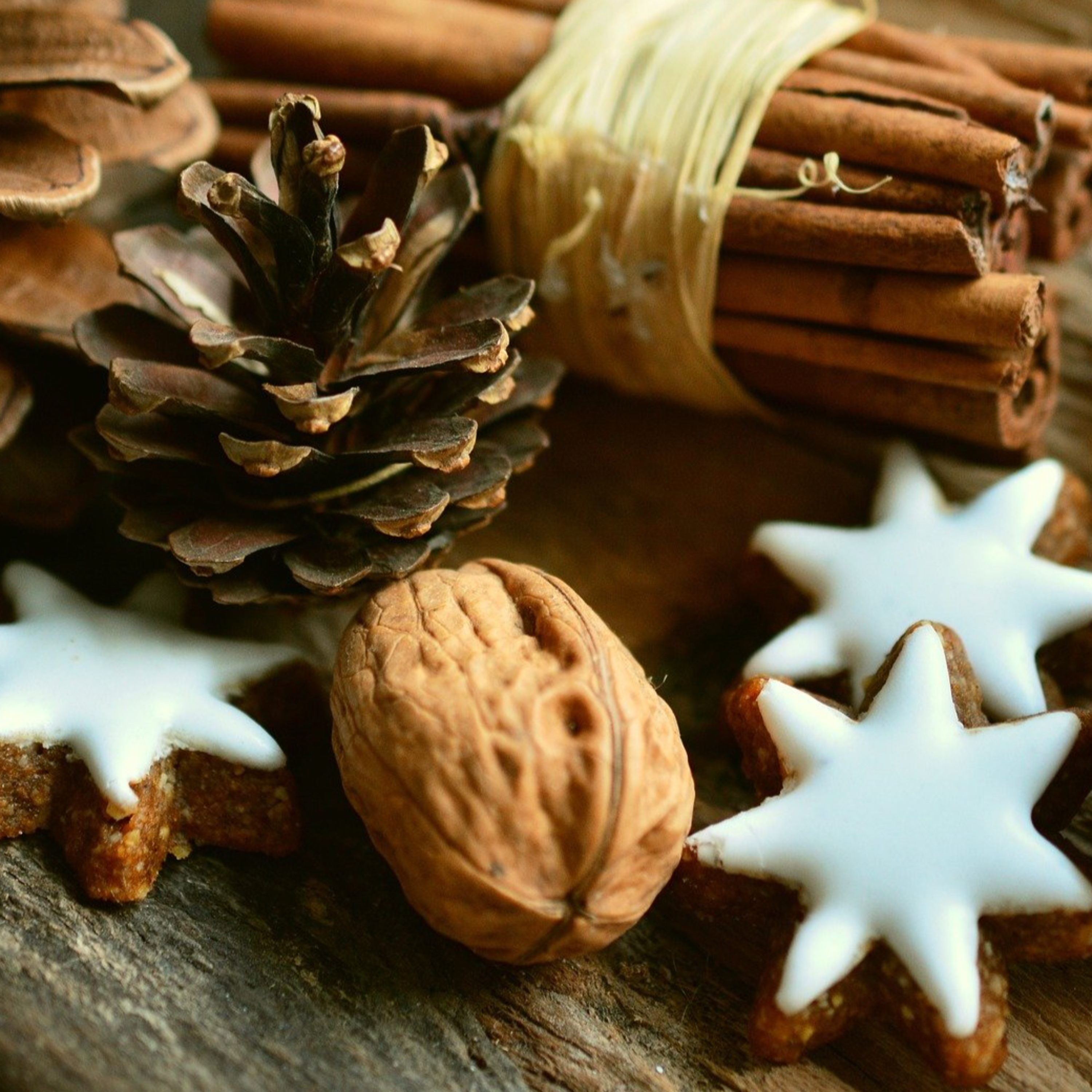 第12回『天才作家の妻 40年目の真実』