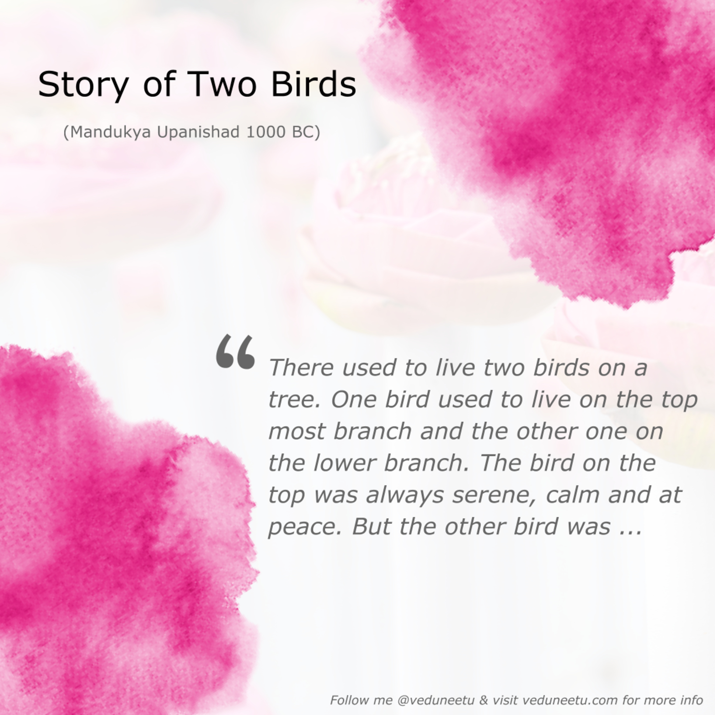 Intro and The Story of the Two Birds episode artwork