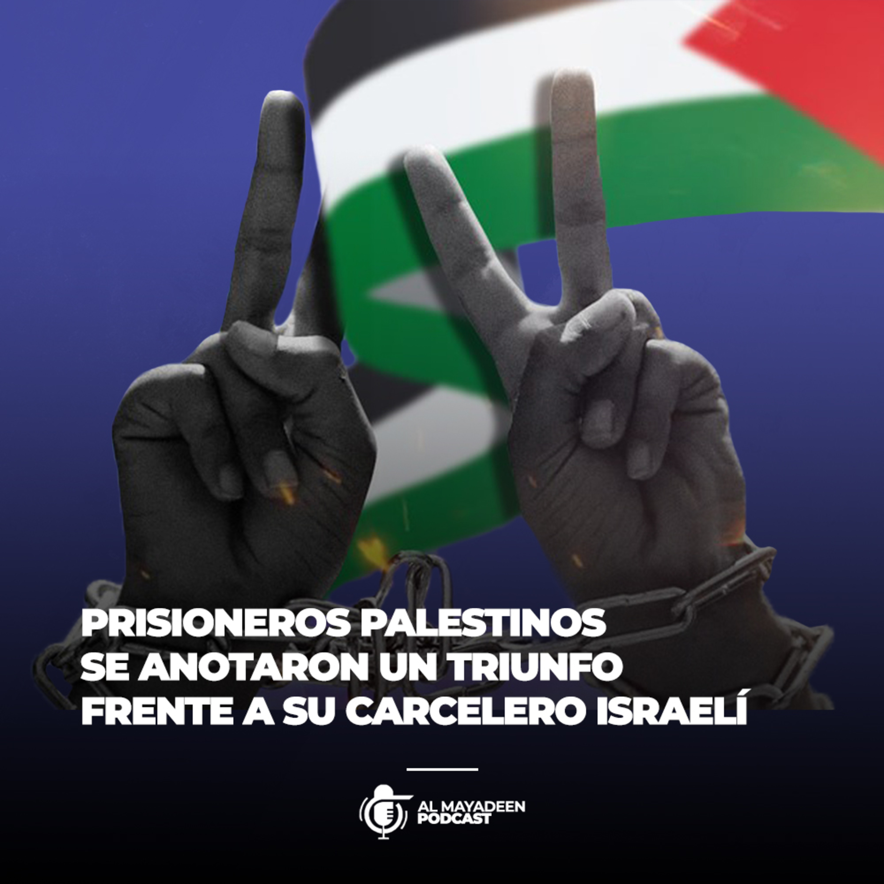 Al Mayadeen Podcast