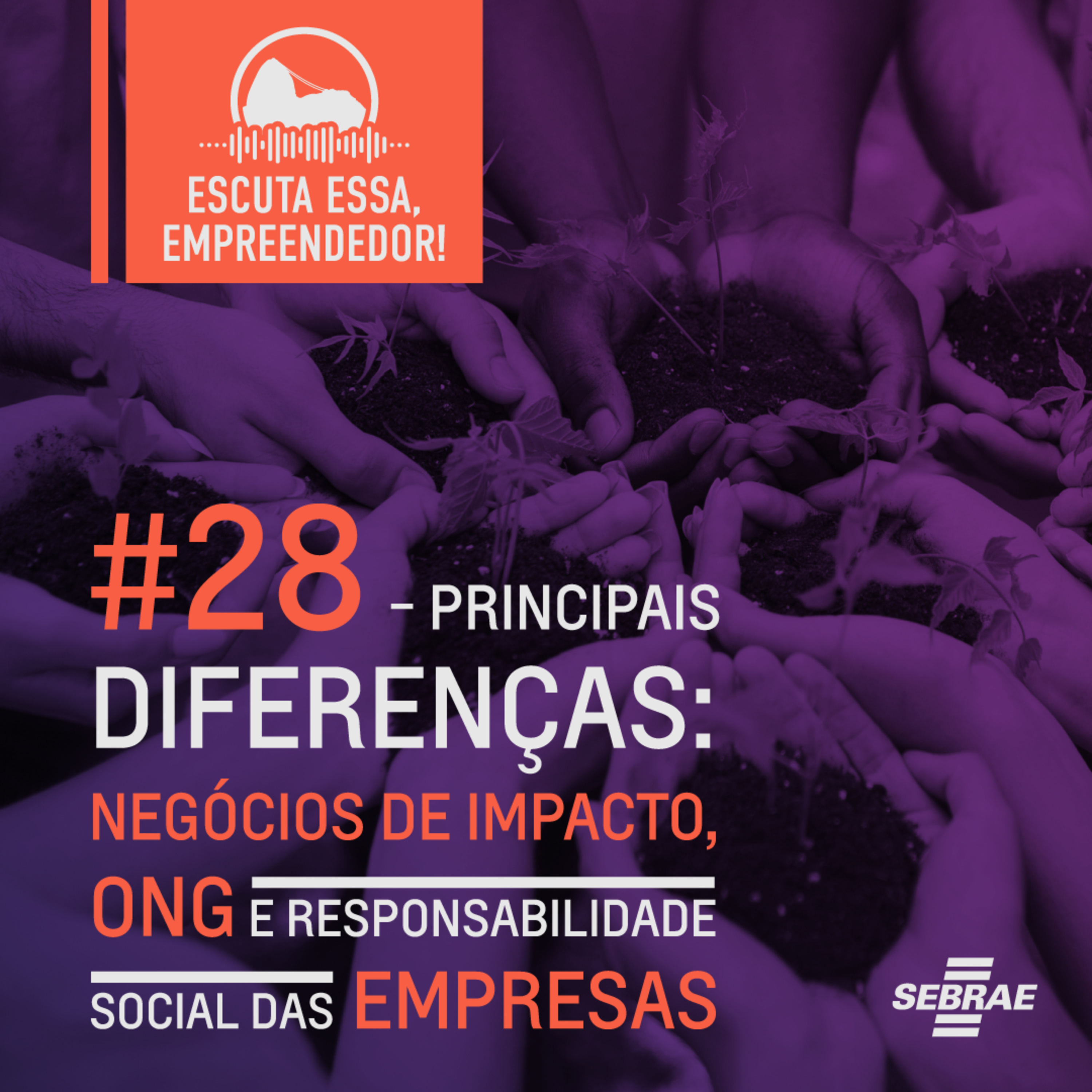 Escuta essa, empreendedor!