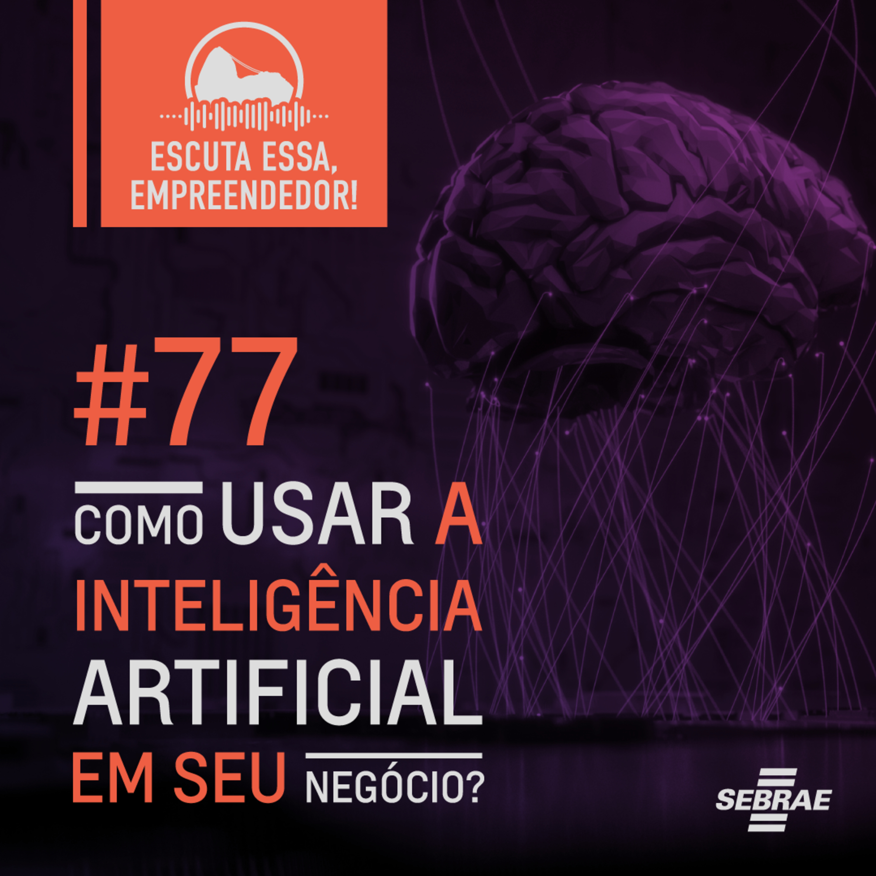 Escuta essa, empreendedor!