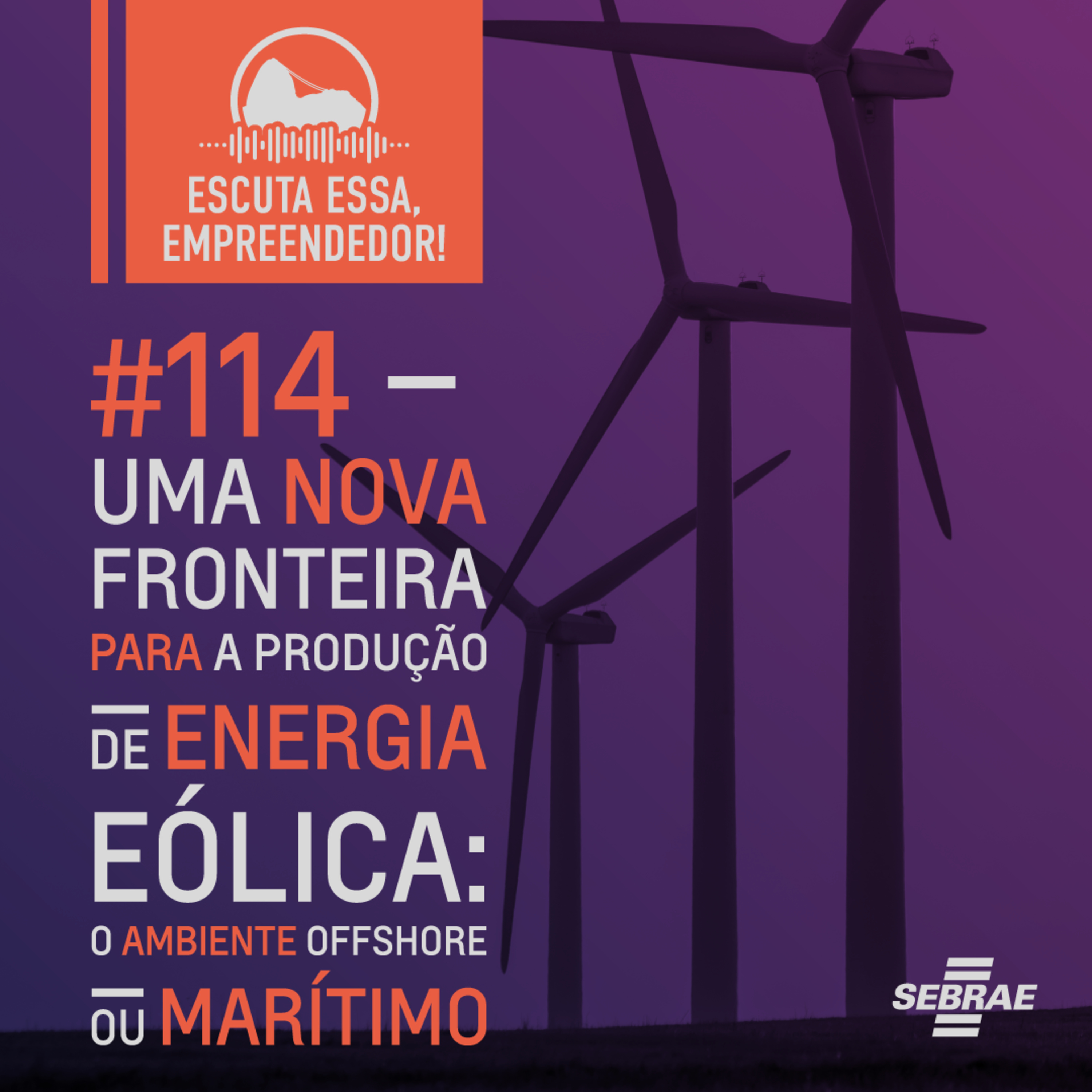 Escuta essa, empreendedor!