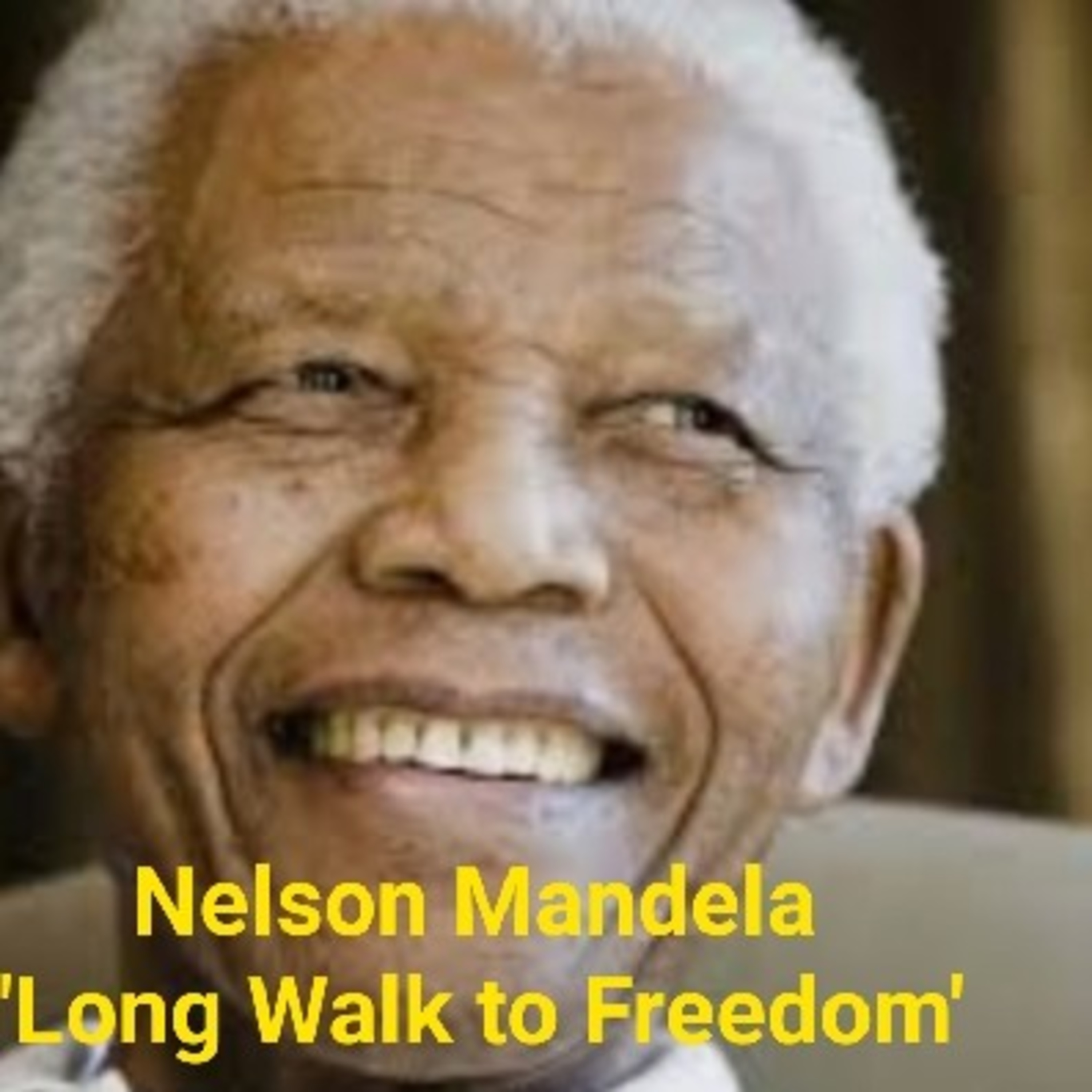 Summary and short answer type questions from the chapter Nelson Mandela Long Walk to Freedom