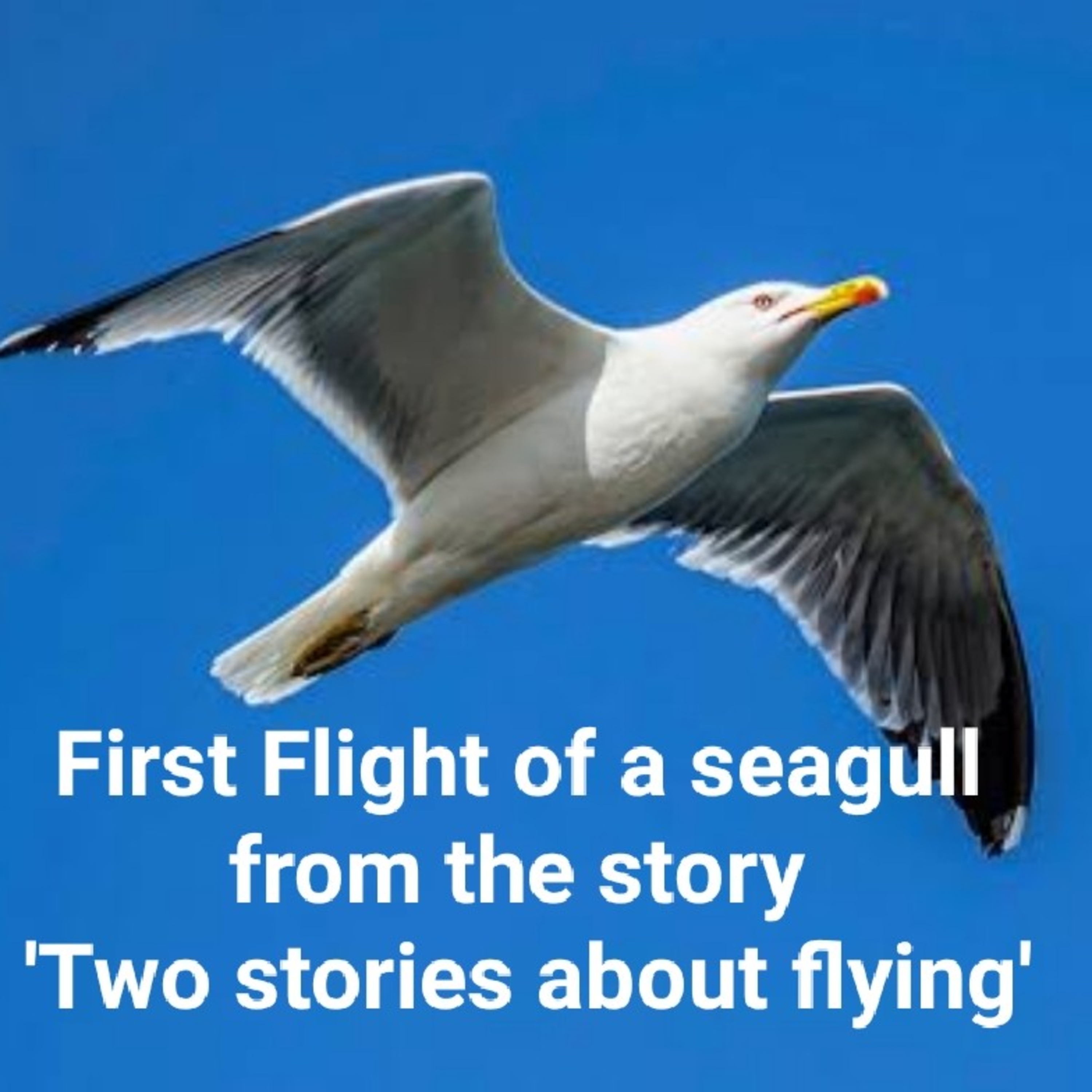 Class 10 English NCERT Book (First Flight)