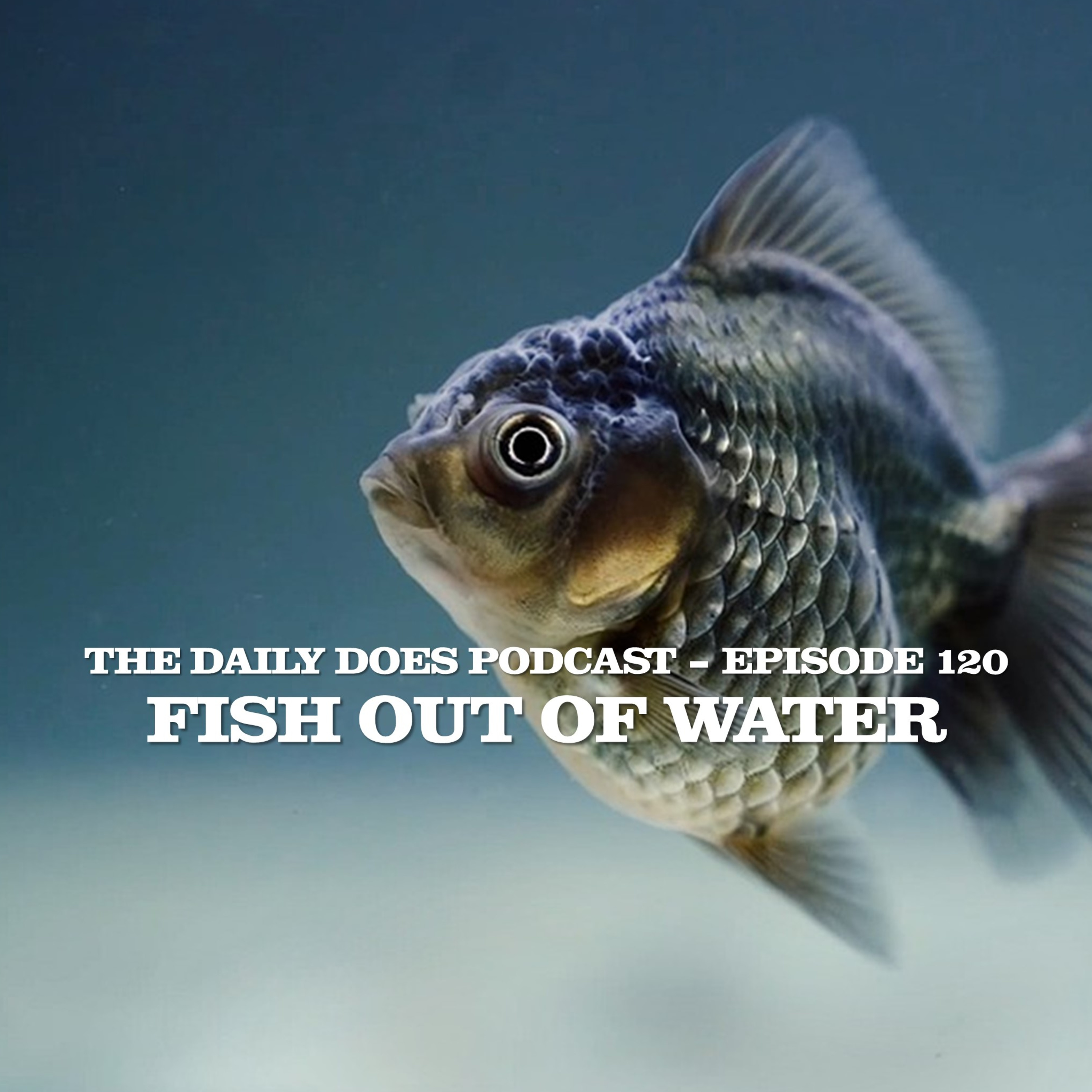 The Daily Dose w/Pastor Chad Reisig