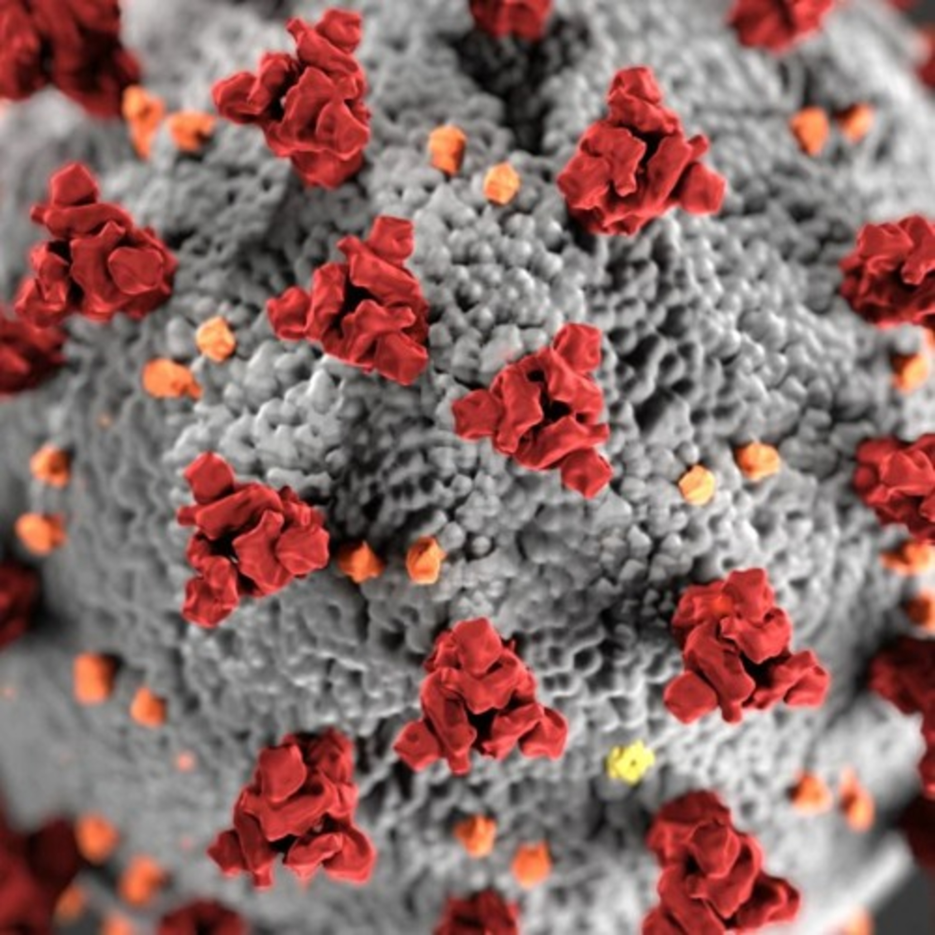 Global Impact Of Coronavirus episode artwork