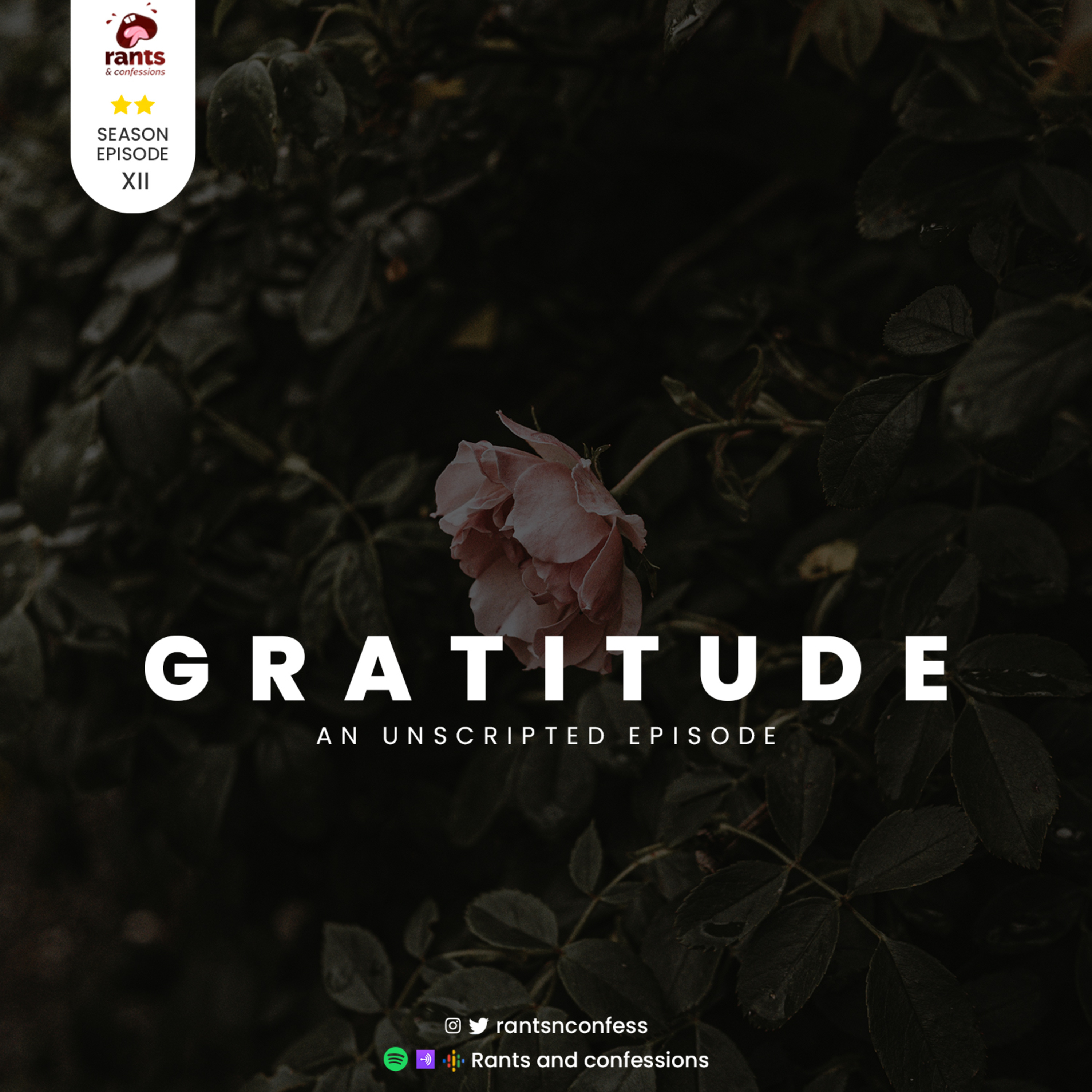 Gratitude - Unscripted episode artwork