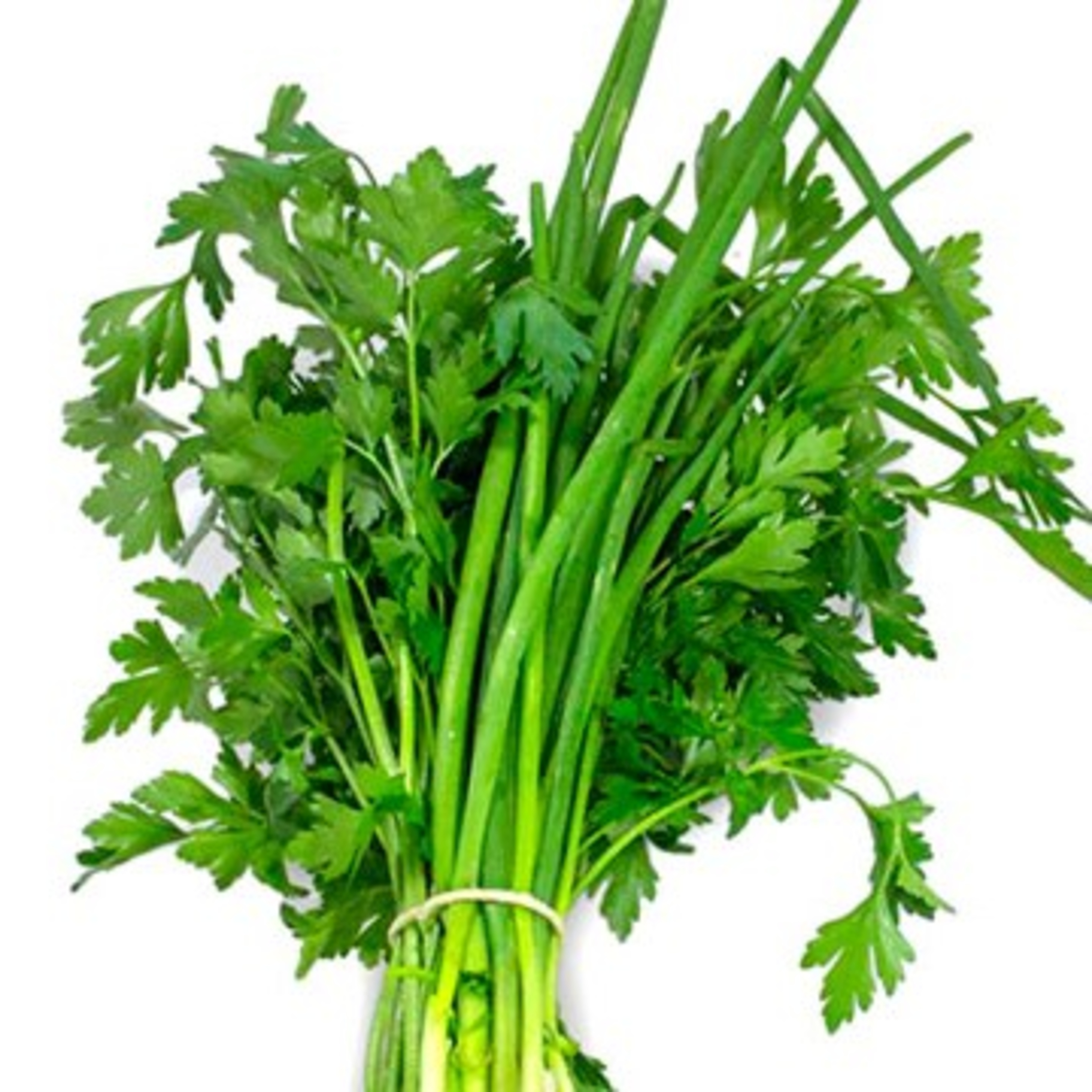 Agregando valor ao cheiro-verde