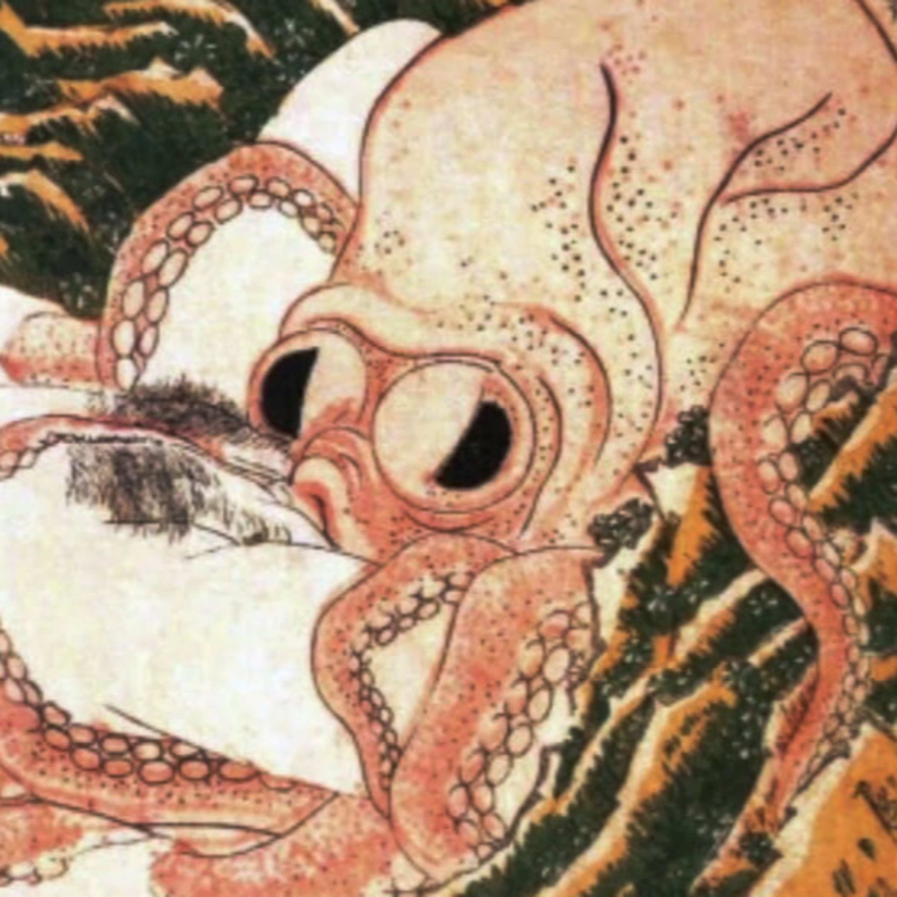 Cortito y al Pie. El Sueño de la Esposa del Pescador. episode artwork