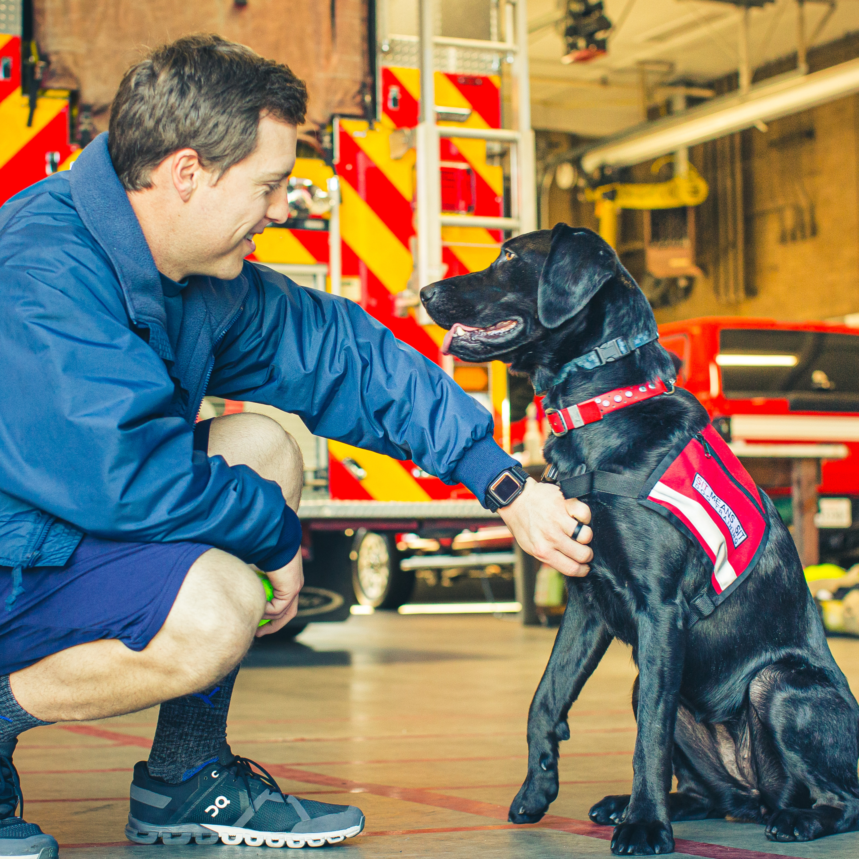 We Get Along Like a House on Fire - feat. Yara the Firehouse Dog episode artwork