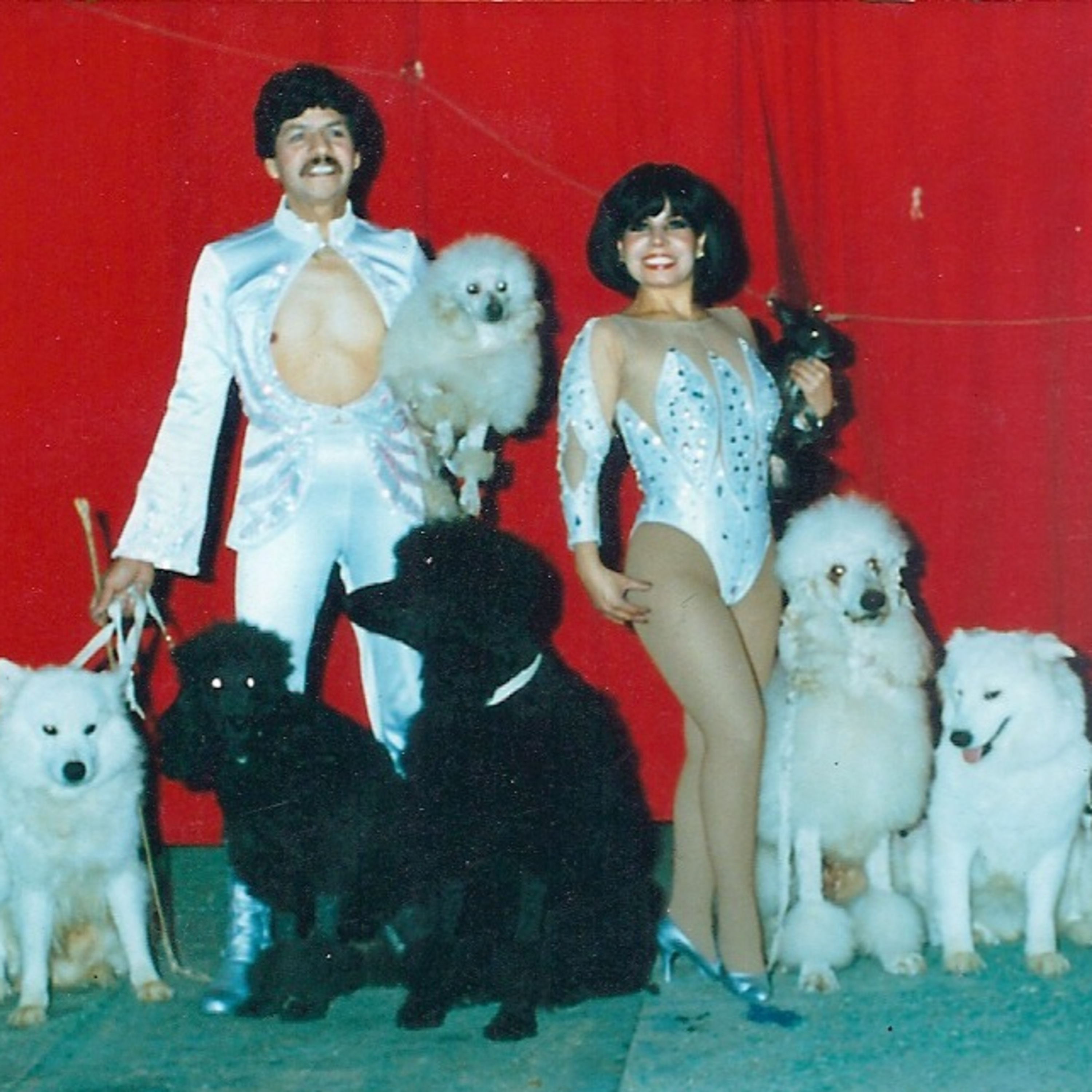 Unusual Circustances – The Story of a Circus Artist and His Circus Dogs (BONUS Ep) episode artwork