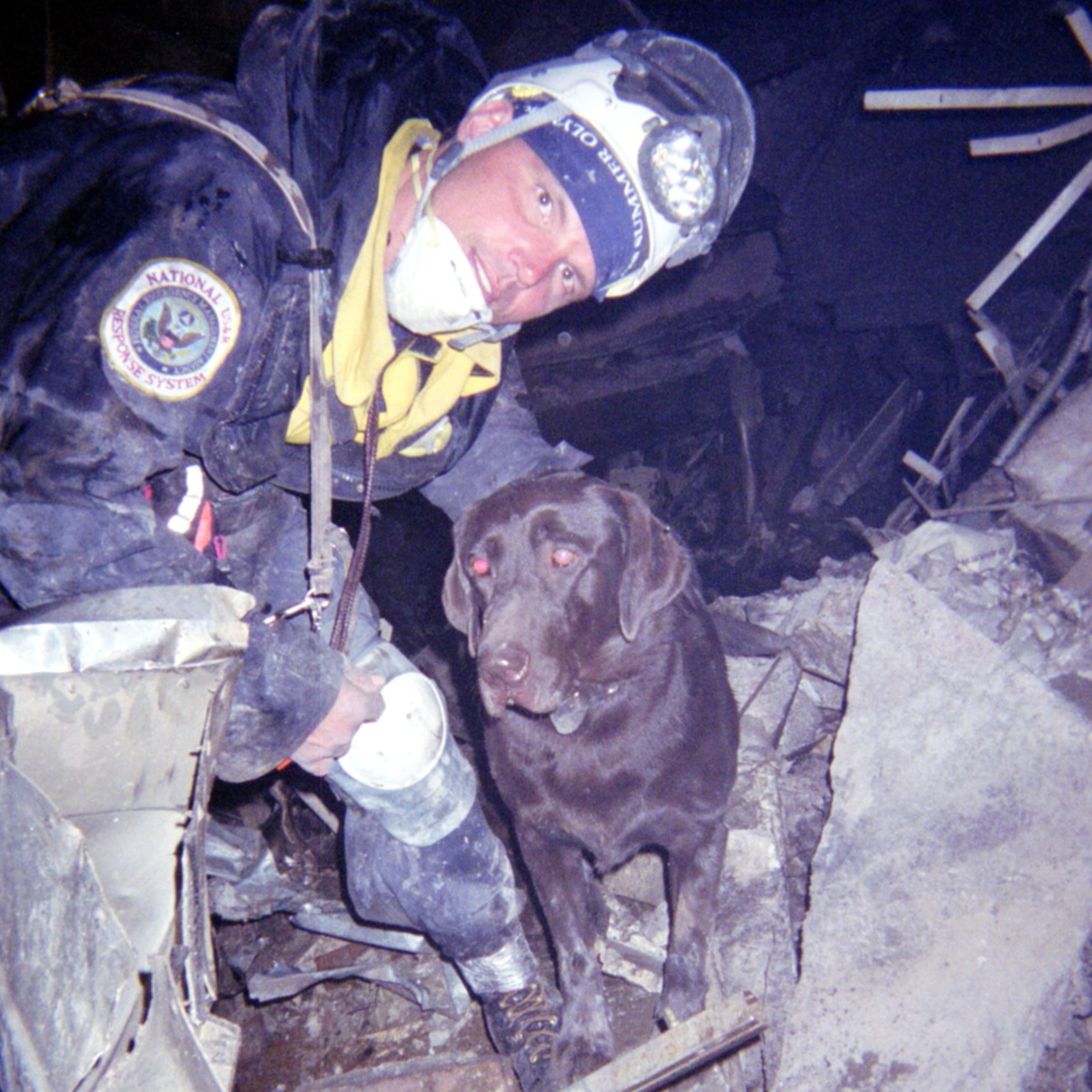 Searching Ground Zero - The Life of a USAR K9, with Steve Swaney episode artwork