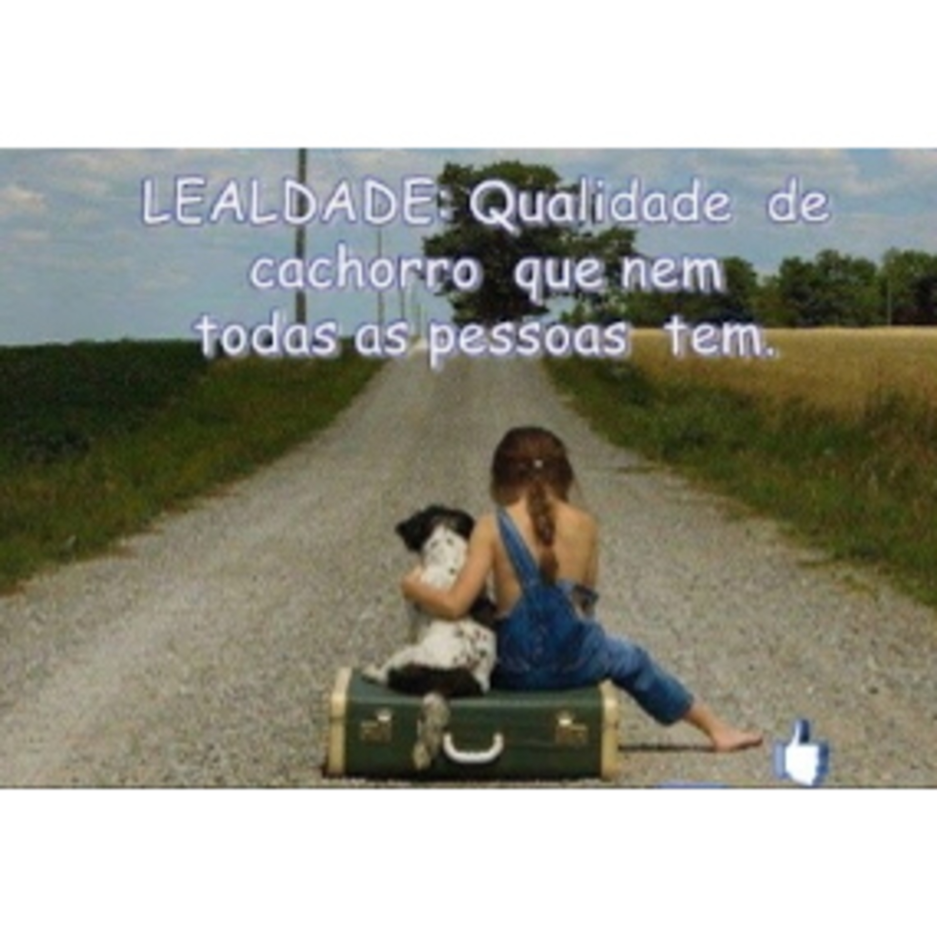 Amor De Quarentena