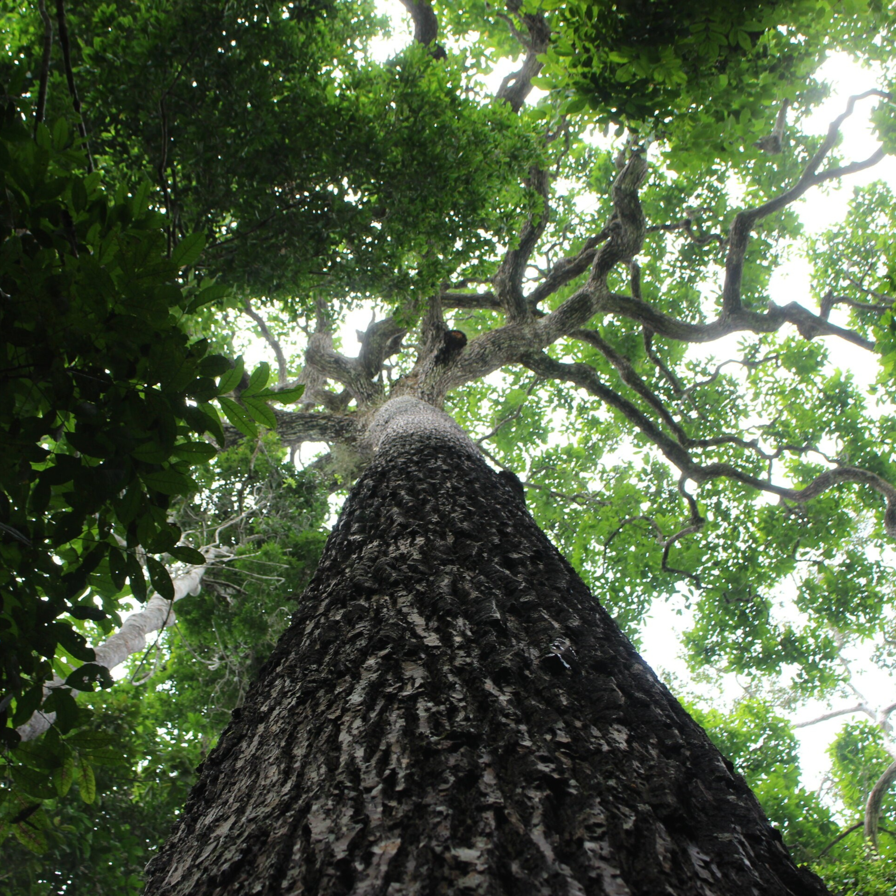Espaço, Meio Ambiente e Cidadania