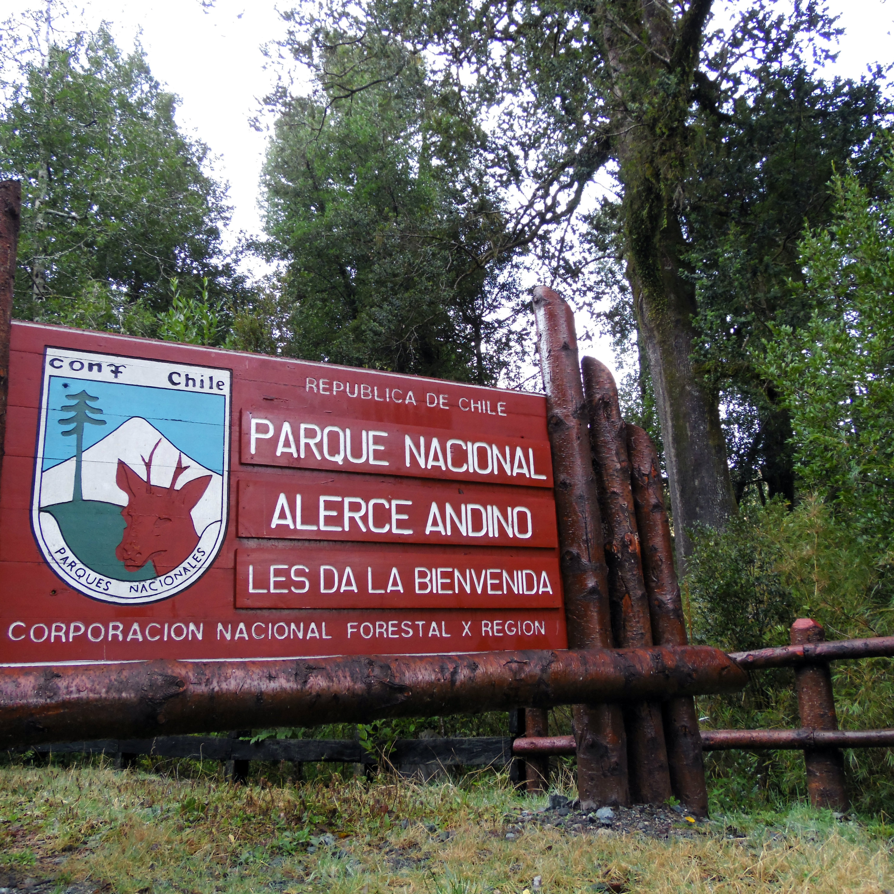 ACTUALIDAD REGIONAL