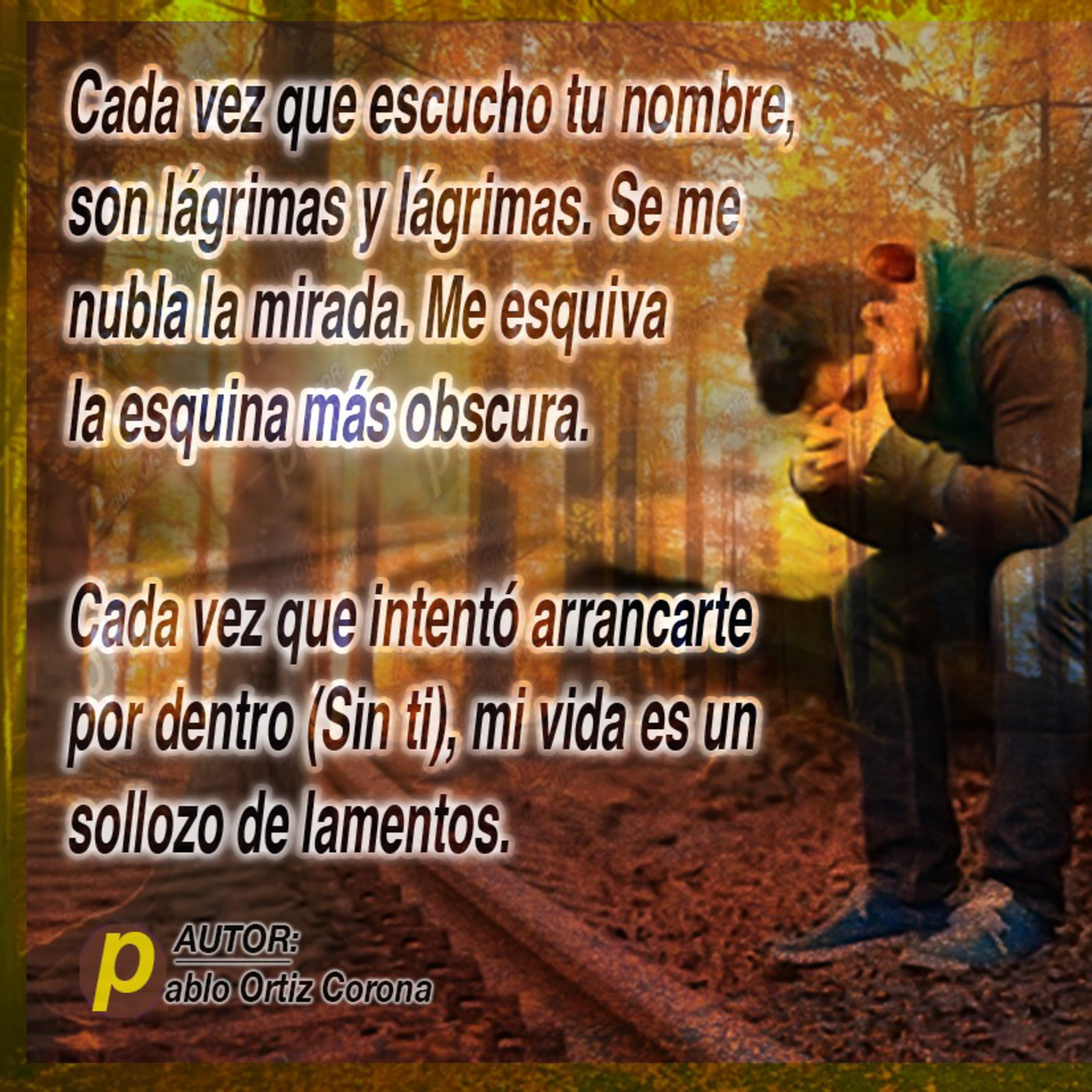 Sin ella ,... Agonía  episode artwork
