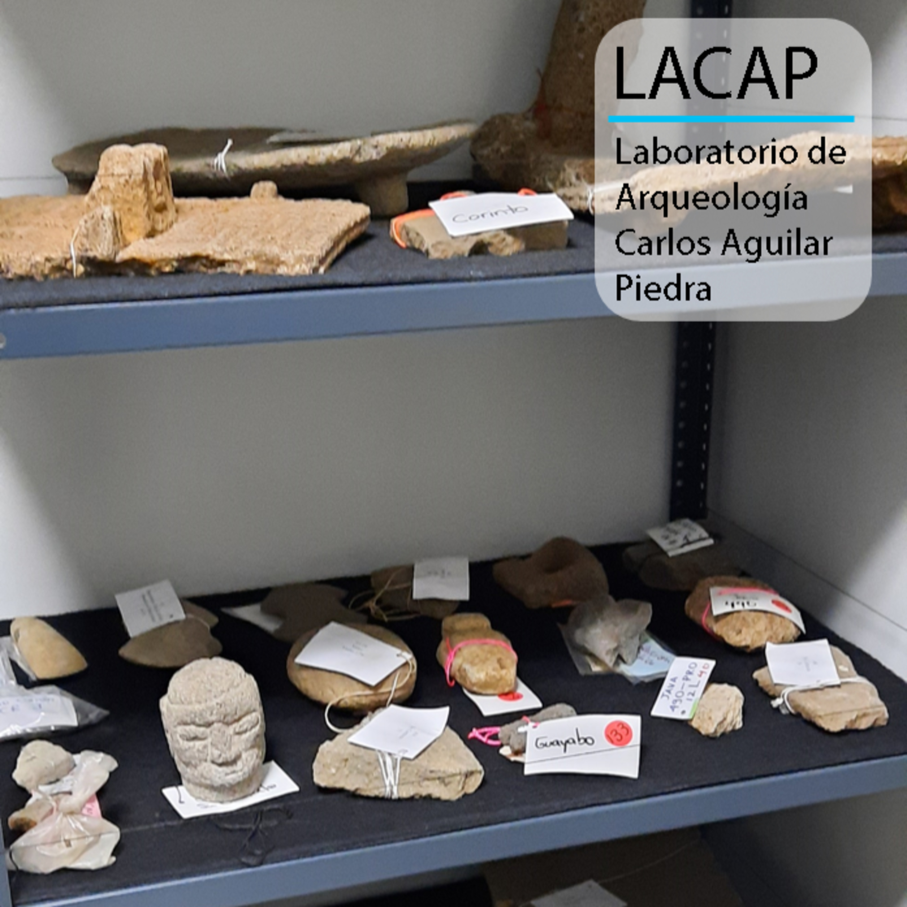 LACAP